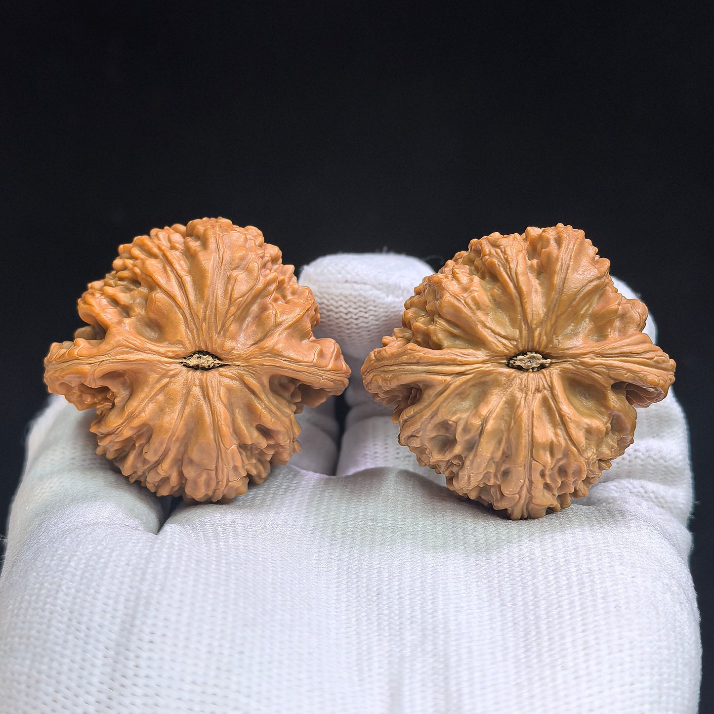 "Sunken Tip White Lionhead" Menjian Baishizi AJBSZ-17G8 Low-Profile Wenwan Walnuts Pair | 42.0mm x 40.0mm | AJBSZ-17G8