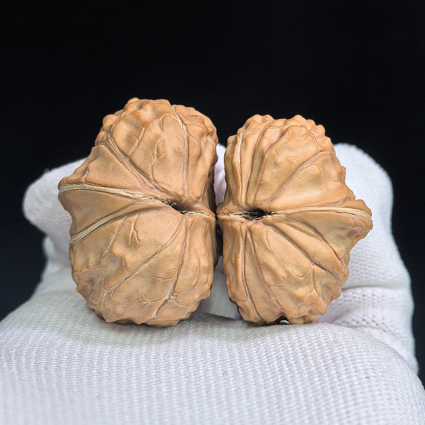 "Tortoise-Shell Hawk-Beak Half-Wall" (Gui Jia Wen Ying Zui Ban Bi) Scholar Walnuts Pair | Same-Fruit Biological Twin Pair | 26.0mm x 35.0mm | Miniature Pocket Format (Shou Nian) | Stock ID: GJW-SY1B7