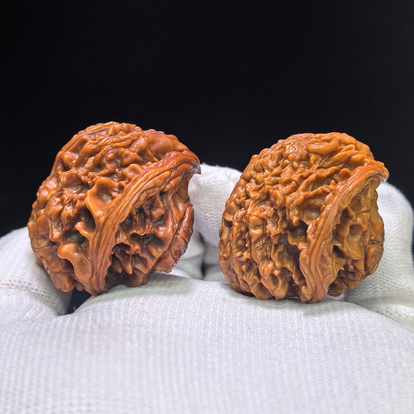 "The Serpent King & Queen" (Shewang Shehou) Scholar Walnuts Pair | 41.0mm x 35.0mm | Legendary Heritage Matching | Exclusive Collector Grade Masterpiece | Stock ID: SWSH-C01E