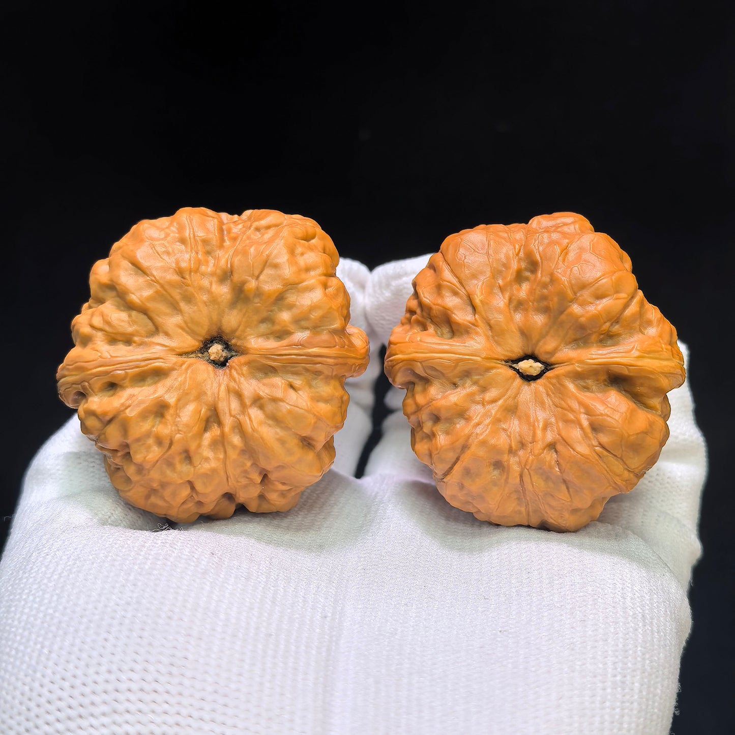 Hamatou (Toad Head) Premium Select Pair | 43.0mm x 42.0mm | Classic Low-Profile Ingot Posture | Stock ID: HMT-401C