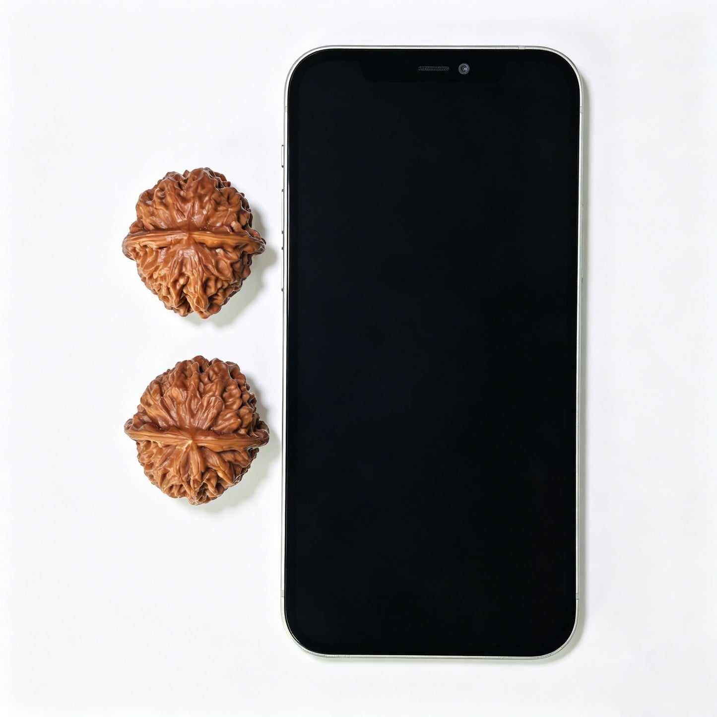 "Pocket Porcelain Doll" Miniature Ciwawa Wenwan Walnuts (Pair) | 34.0mm x 35.0mm | Stock ID: CWW-1506C