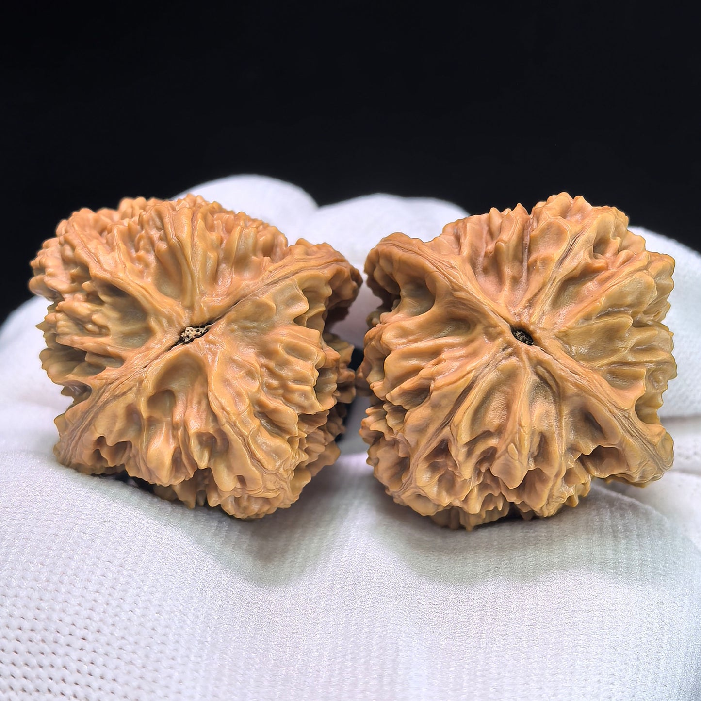 The "Beijing Chicken Heart" (Beijing Ji Xin) Pair | 39.0mm x 40.0mm | JX-404