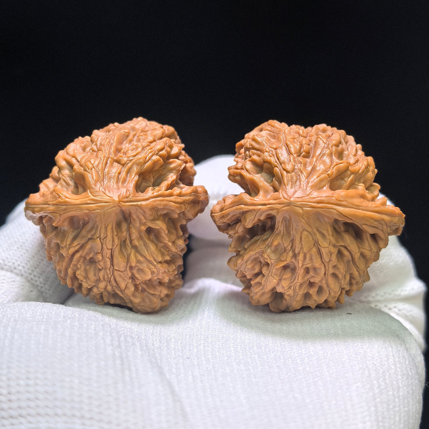 "Golden Kylin Hawk Beak Vulture" Jinqilin Yingzui Zuoshandiao Wenwan Walnuts Pair | 36.0mm x 39.0mm | JQLYZZSD-CG218E