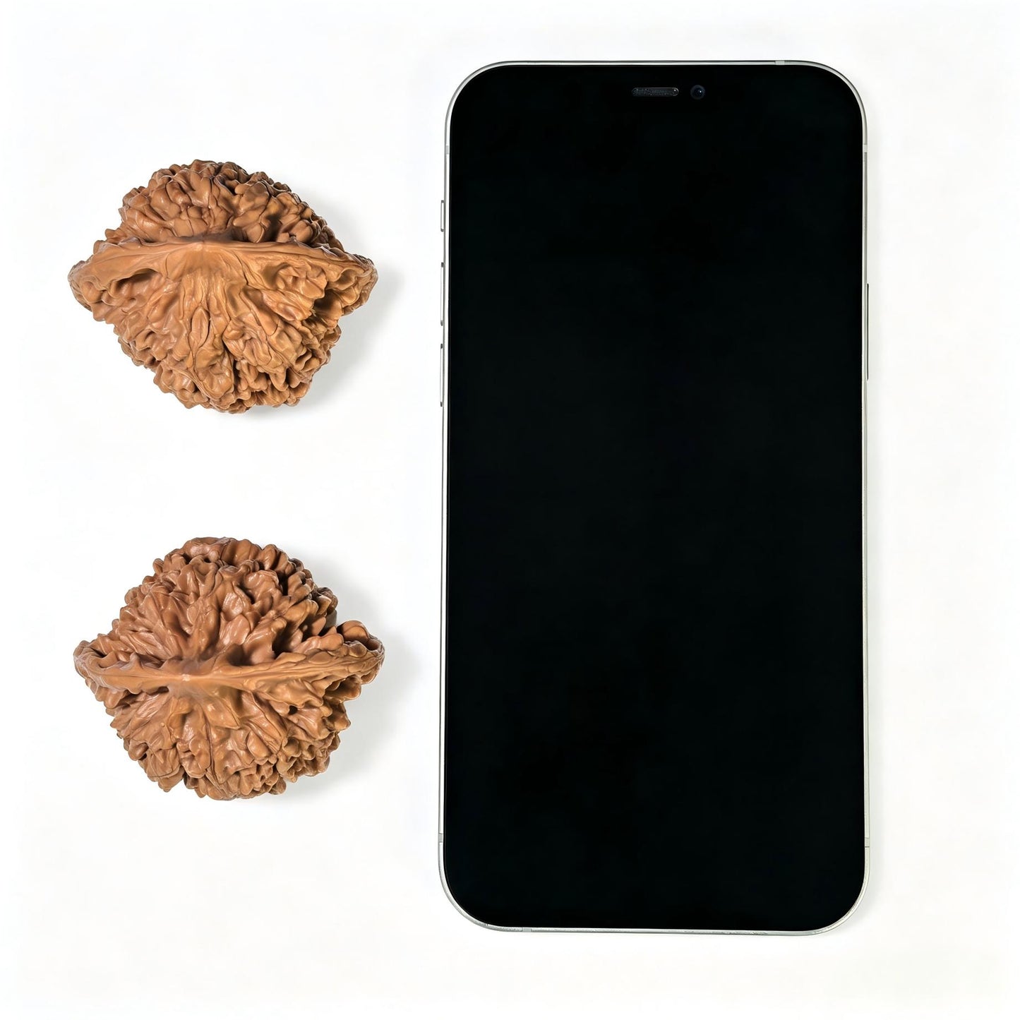"Large Official Hat Peach Heart Concave Base" Daguanmao Taoxin Aodi Wenwan Walnuts Pair | 50.0mm x 43.0mm | ADDGM-1101