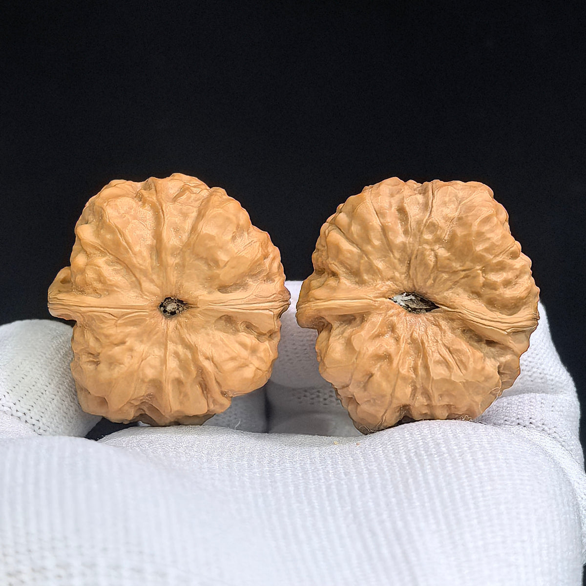 Compact Broad-Shouldered Toad Head Wenwan Walnut Pair | 35.0mm x 37.0mm | HMT-SY1H6