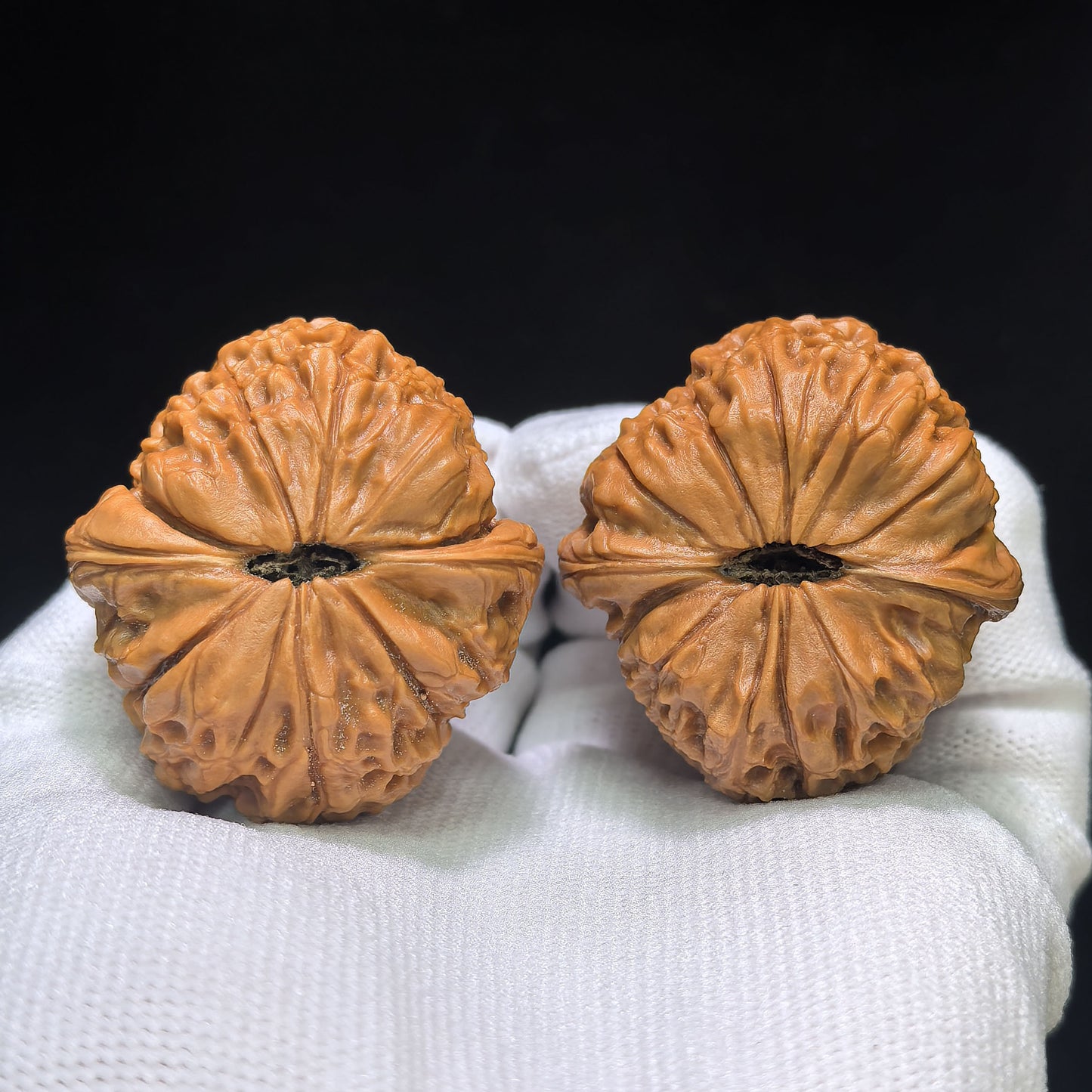"Grand Reunion" Datuanyuan Wenwan Walnuts Pair | 38.0mm x 42.0mm | TY-1502C