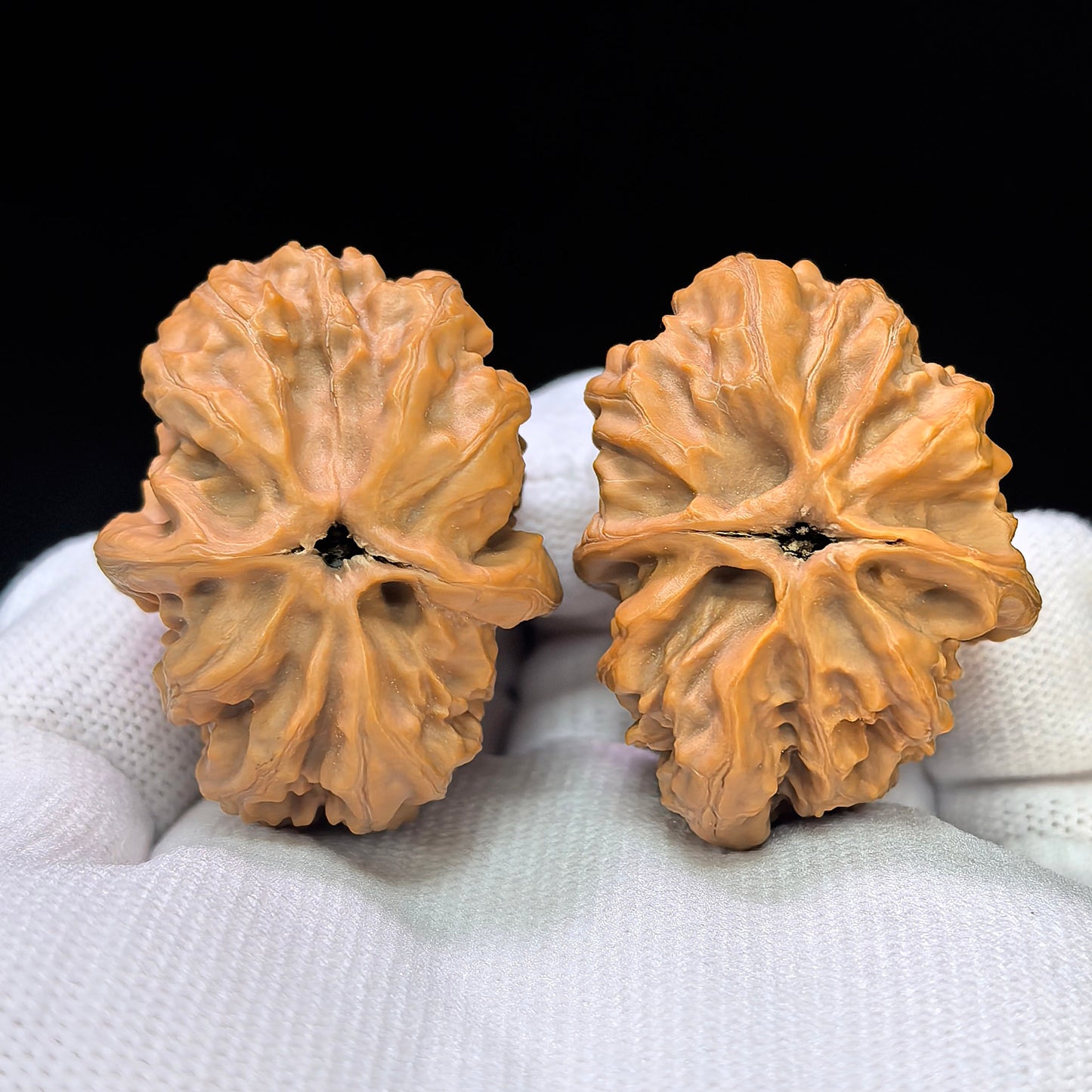 "Pinggu Square" Pinggu Fangkuai PGFK-1501C Low-Profile Wenwan Walnuts Pair | 31.0mm x 40.0mm | PGFK-1501C