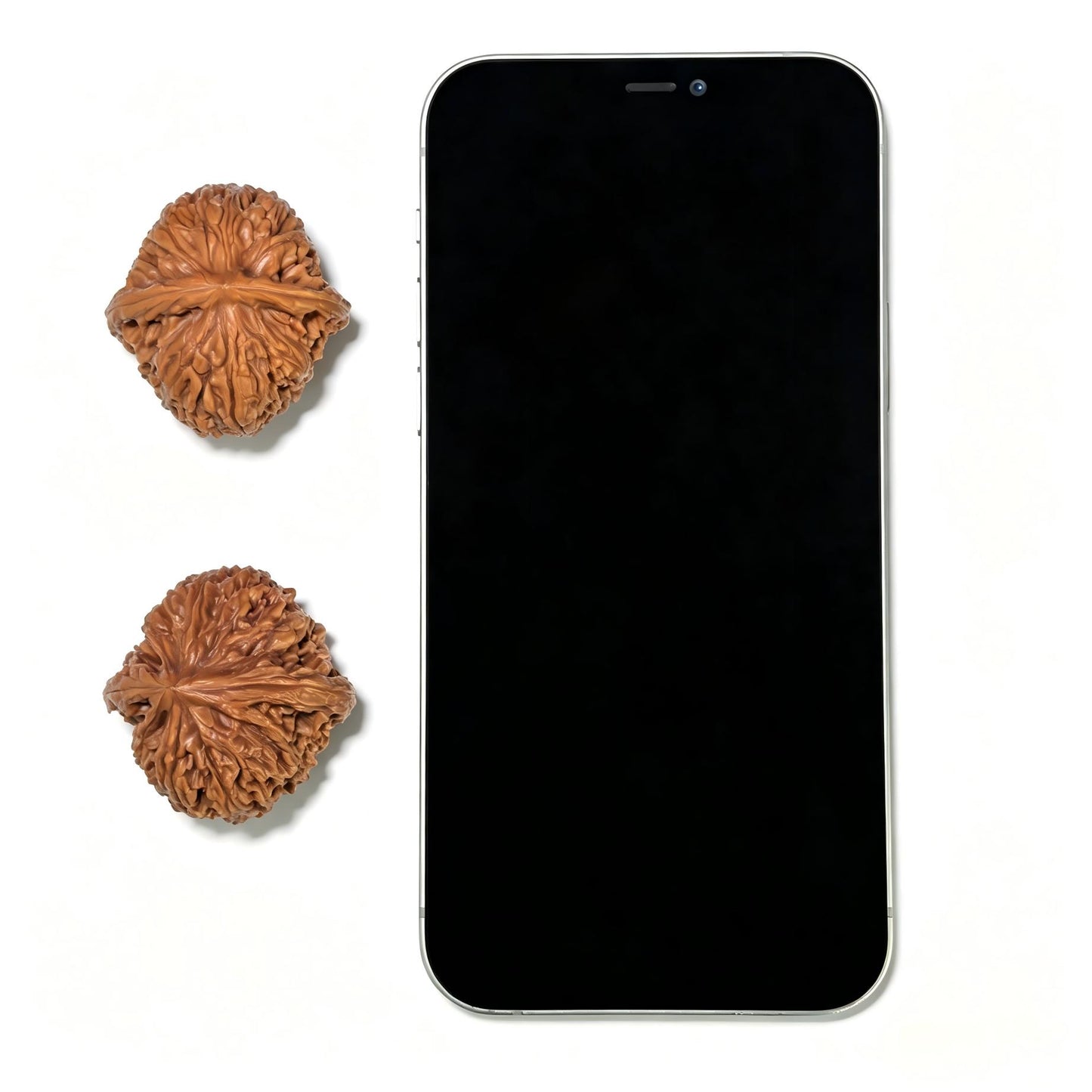 "Nanjiangshi Lionhead" Nanjiangshi NJS-1109 Low-Profile Wenwan Walnuts Pair | 36.0mm x 38.0mm | NJS-1109