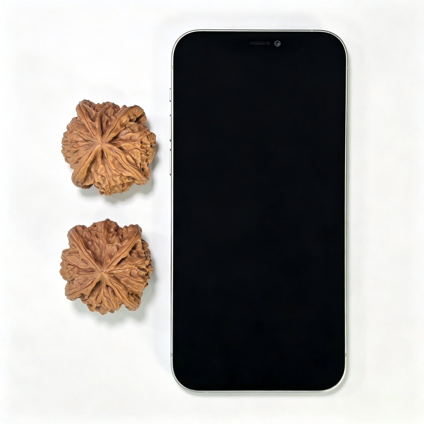 "Imperial Jade Seal X-Men" Yuxi Sileng X-Zhanjing Four-Ribbed Wenwan Walnuts Pair | 41.0mm x 40.0mm | YSFN-C227E