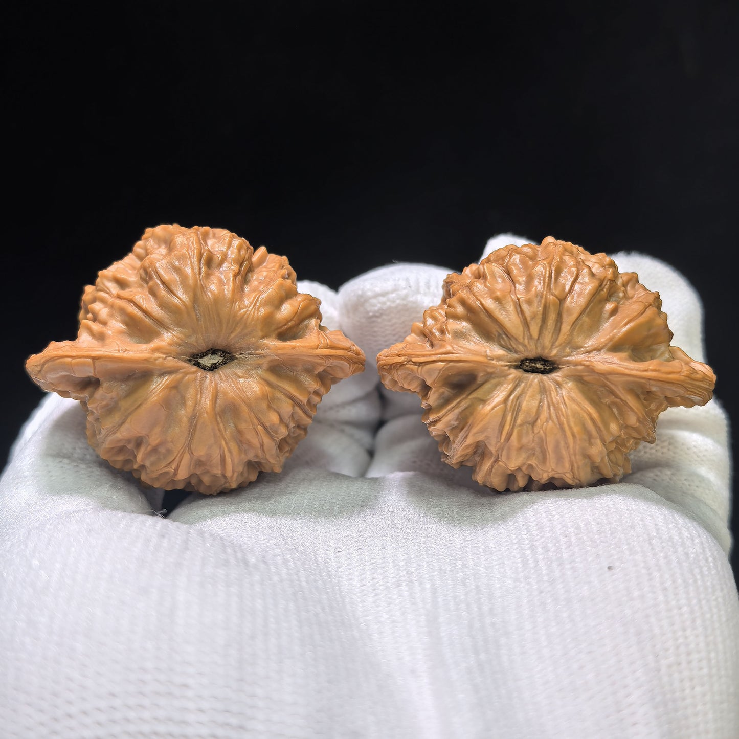 "Shaanxi Official Hat" Shaanxi Guanmao Wenwan Walnuts Pair | 43.0mm x 35.0mm | SXGM-01SY