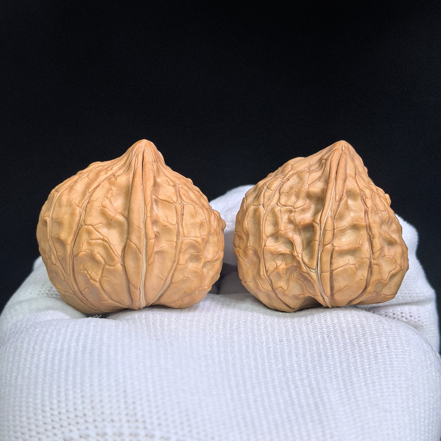 "Tortoise-Shell Half-Wall Turtle-Back" (Gui Jia Wen Ban Bi Gui Bei) Scholar Walnuts Pair | Same-Fruit Biological Twin Pair | 30.0mm x 36.0mm | Collector Grade E | Stock ID: GJWGB-SY1B3