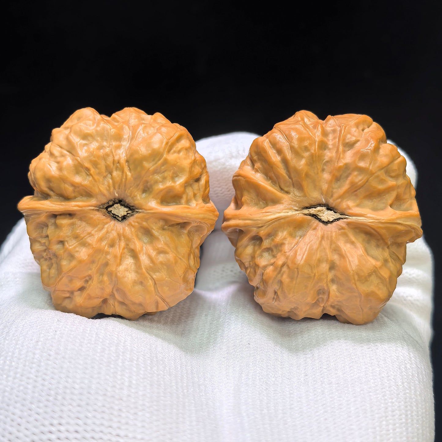 "Toad Head" Hama Tou Wenwan Walnuts Pair | 40.0mm x 40.0mm | HMT-02SY