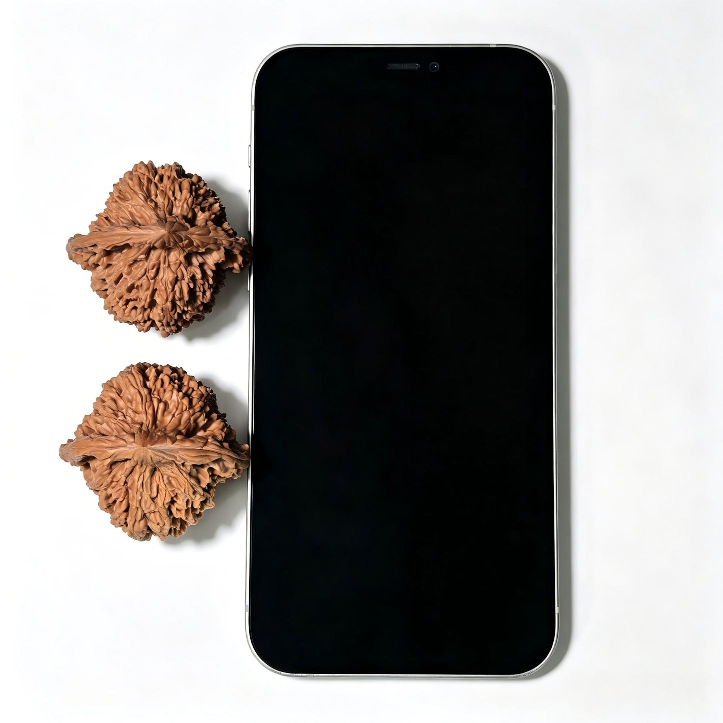 "Starry Sky" Mantianxing Wenwan Walnuts (Pair) | 42.0mm x 40.0mm | Stock ID: MTX-1402
