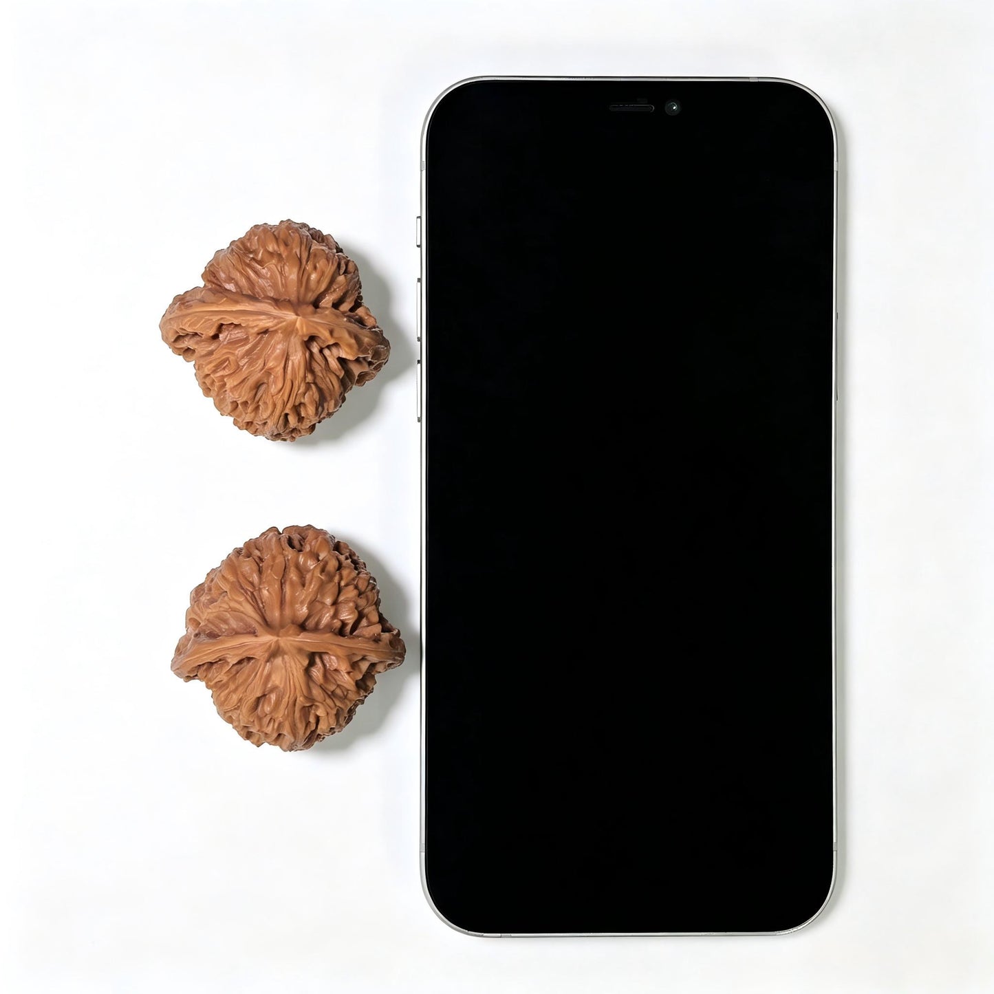 Triangle Concave-Base Nanjiangshi Scholar Walnuts Pair | Premium Select 38.0mm x 37.0mm | Classic Low-Profile Format | Stock ID: NJS-1513C