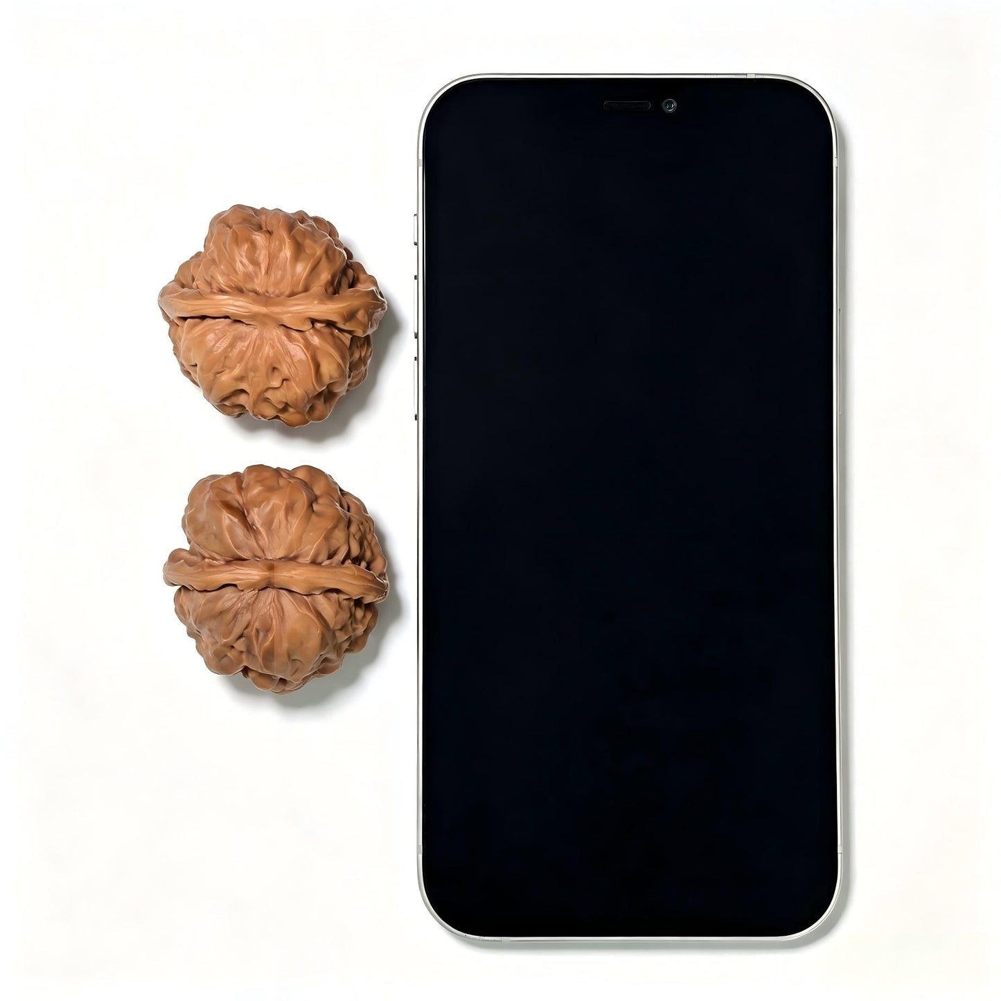 "Toad Head" Hamatou Classic Heritage Low-Profile Wenwan Walnuts Pair | 38.0mm x 38.0mm | HMT-1501C