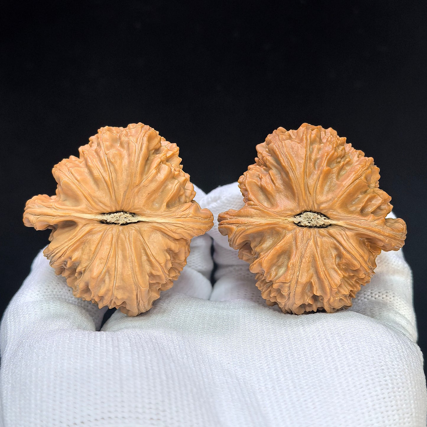"Spherical White Lion" Qiu Xing Baishizi QXBSJ-1501C Low-Profile Wenwan Walnuts Pair | 44.0mm x 45.0mm | QXBSJ-1501C