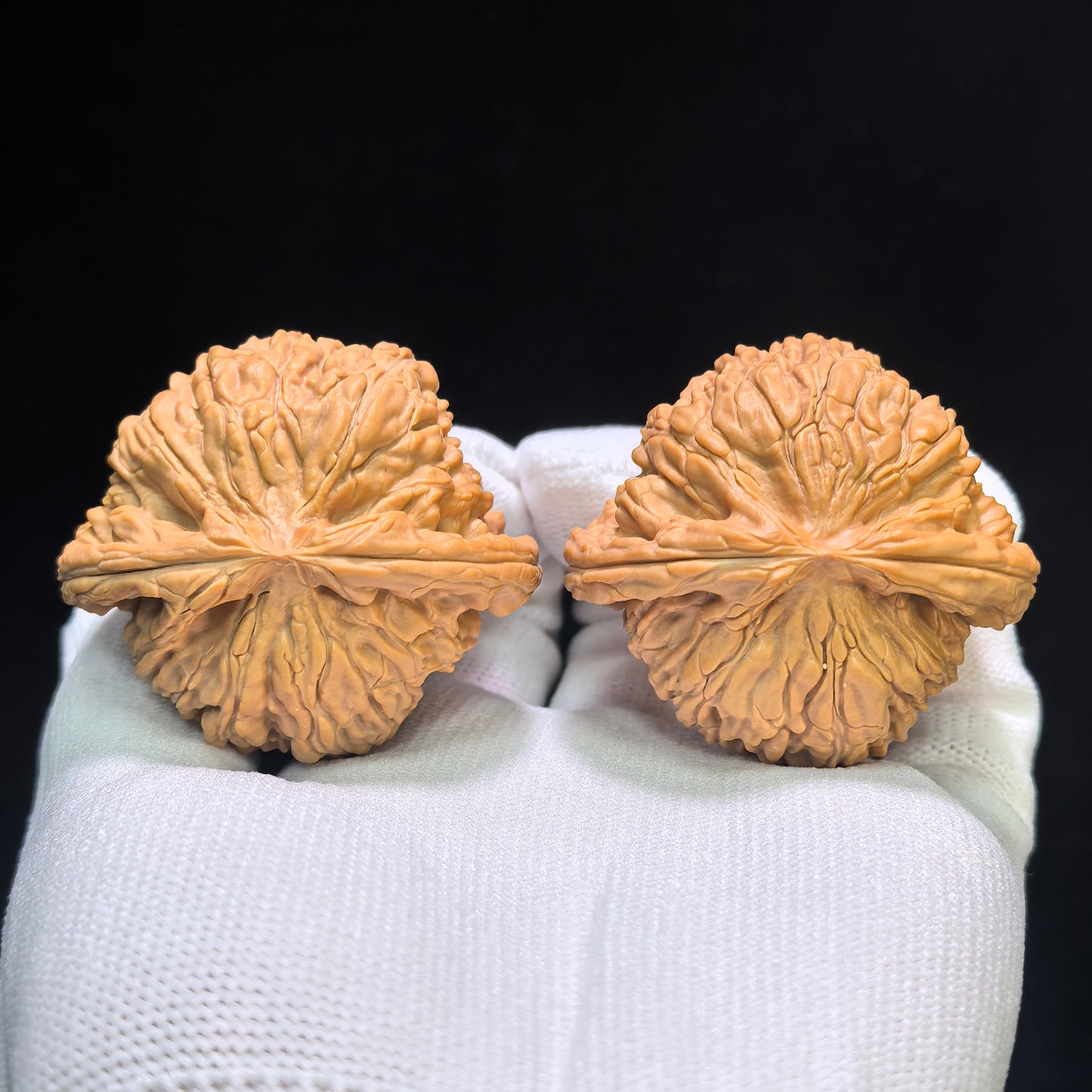 "White Lion" Baishizi Wenwan Walnuts (Pair) | 46.0mm x 43.0mm | Stock ID: BSJ-1553C