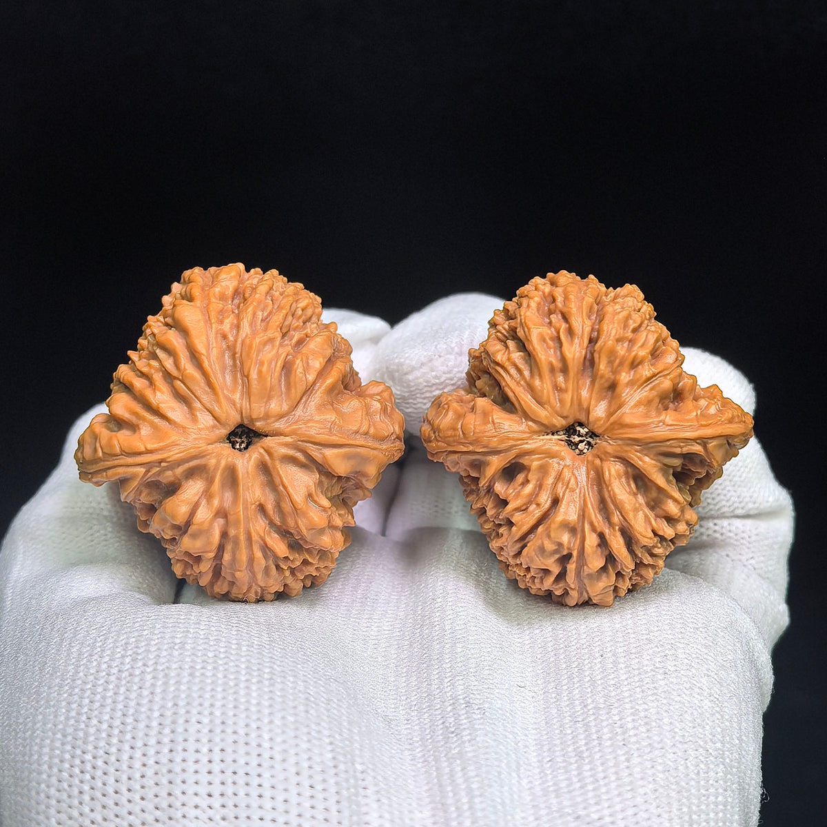 Winged “Butterfly White Lion” Wenwan Walnut Pair — 41.0mm x 41.0mm | HDBS-C1D5E