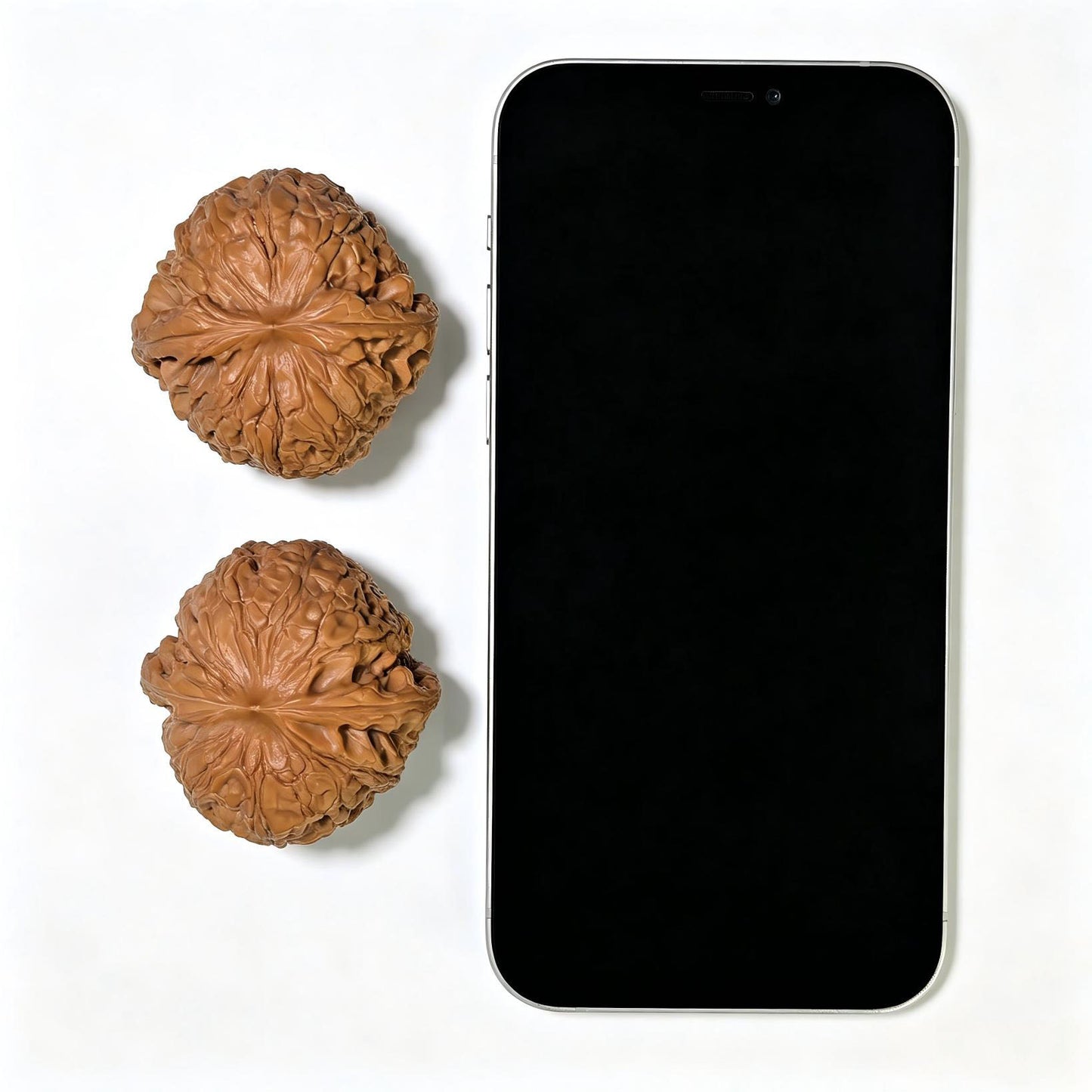 "Grand Reunion" Datuanyuan Wenwan Walnuts Pair | 45.0mm x 45.0mm | DTY-1551C