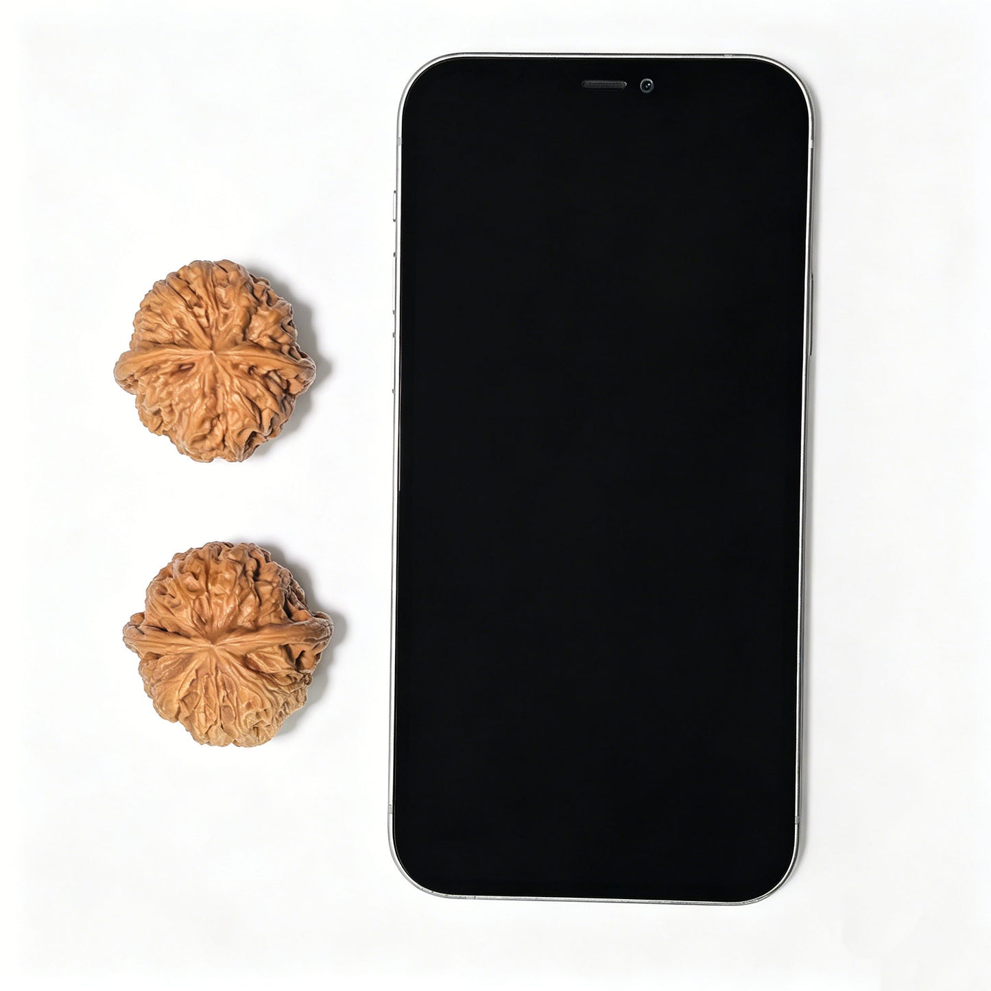 "Rain Flower Stone" Yuhuashi YHS-1106 Low-Profile Wenwan Walnuts Pair | 34.0mm x 34.0mm | YHS-1106