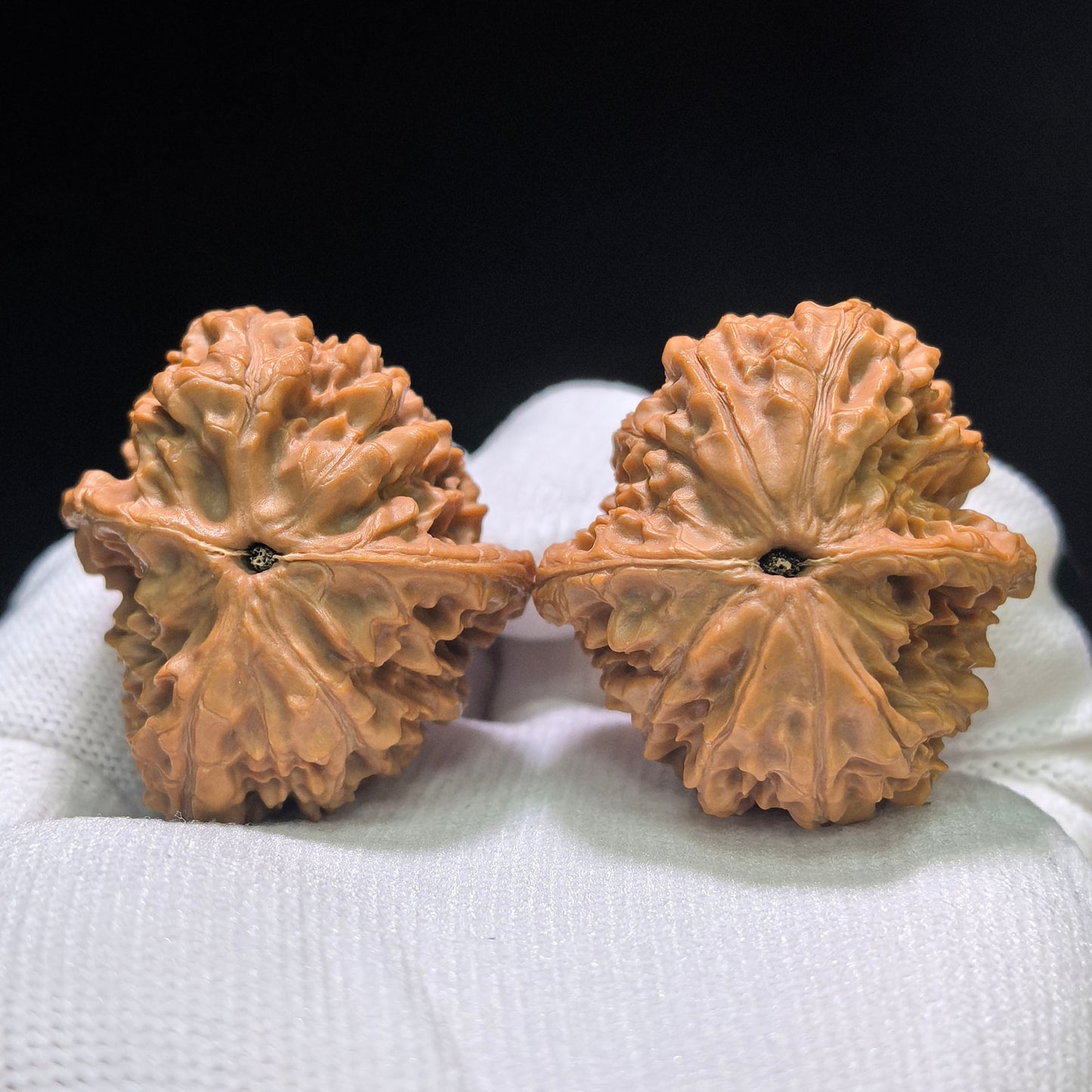 "Golden Kylin Hawk Beak Vulture" Jinqilin Yingzui Zuoshandiao Wenwan Walnuts Pair | 36.0mm x 39.0mm | JQLYZZSD-CG218E
