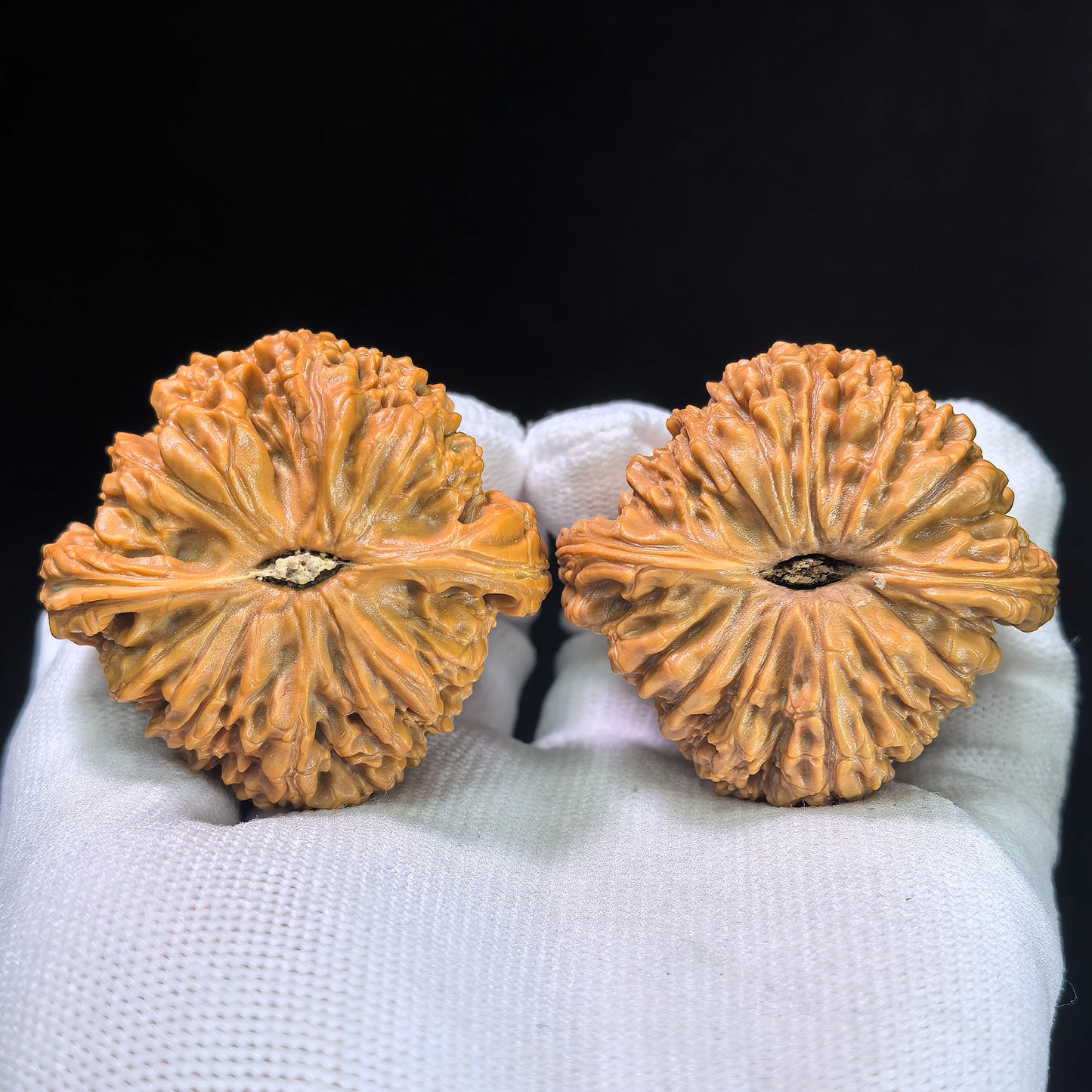Nanjiangshi Scholar Walnuts "Spherical Heart" Variant | Premium Select 46.0mm x 43.0mm | Stock ID: NJS-1303C
