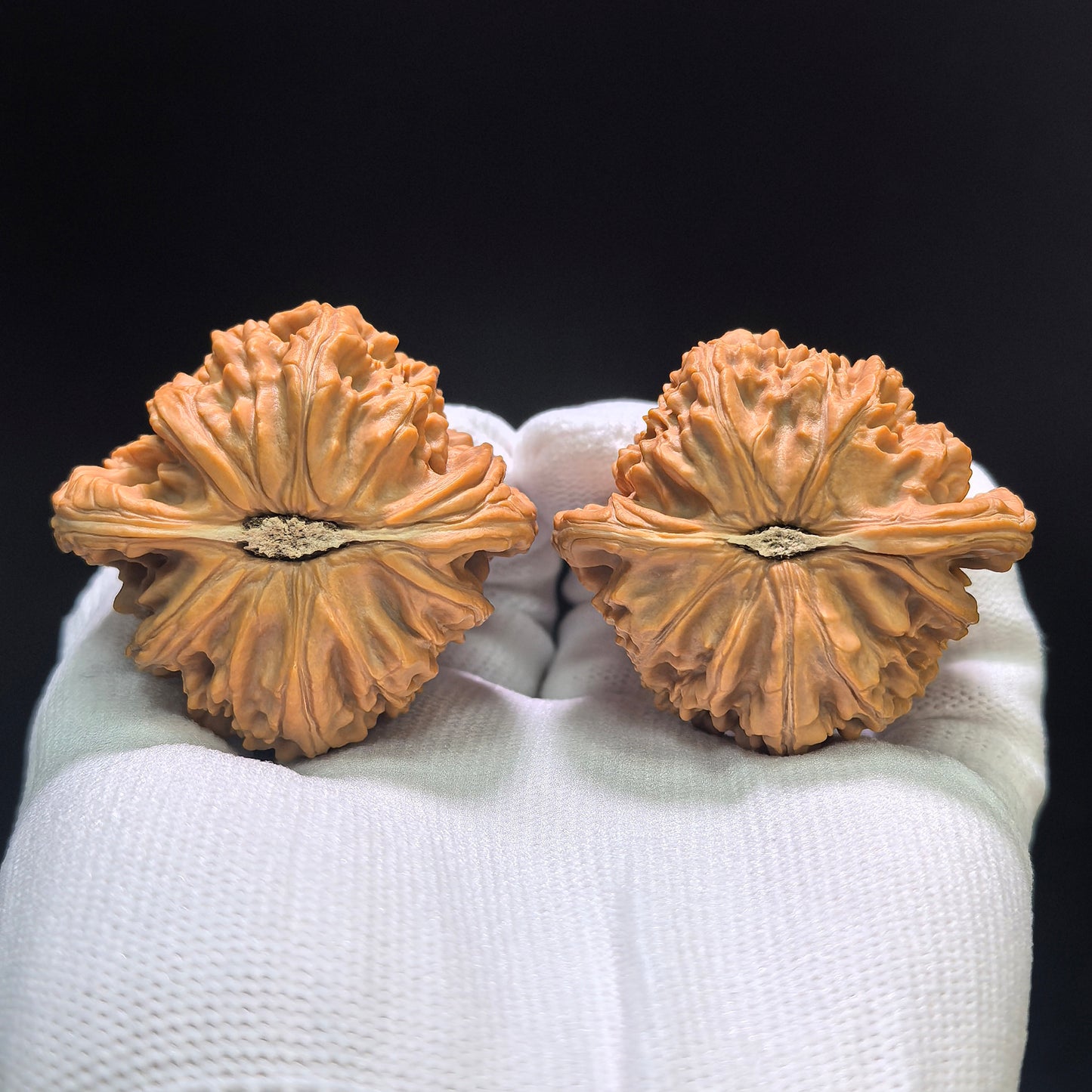 "White Lion Head" Bai Shishi Wenwan Walnuts Pair | 45.0mm x 43.0mm | BSJ-1552C