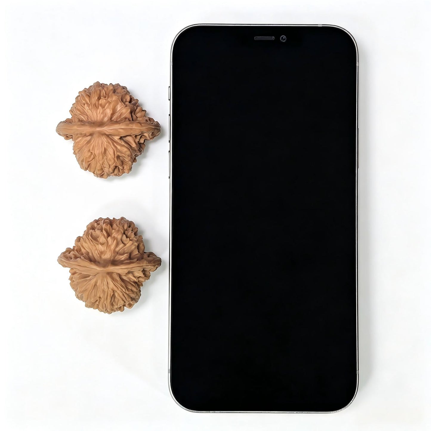 "Xiayun Ridge" Xiayunling Wenwan Walnuts (Pair) | 38.0mm x 35.0mm | Stock ID: XYL-1101