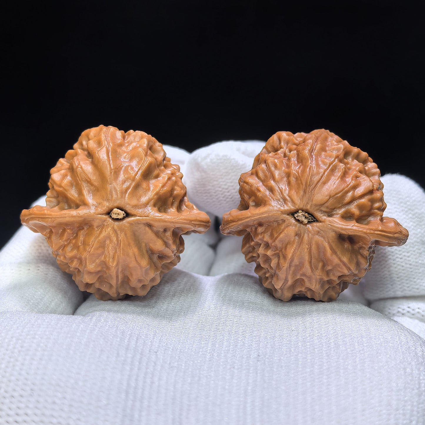 "Porcelain Doll" Ciwawa Wenwan Walnuts Pair | 37.0mm x 35.0mm | CWW-1504C