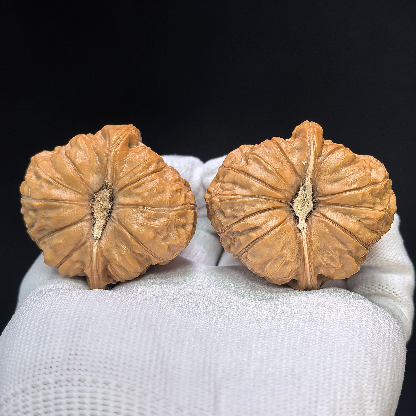 "Pumpkin Mound Vulture" Nanguadun Zuoshandiao Special Hybrid Wenwan Walnuts Pair | 42.0mm x 46.0mm | NGDZSD-C234E