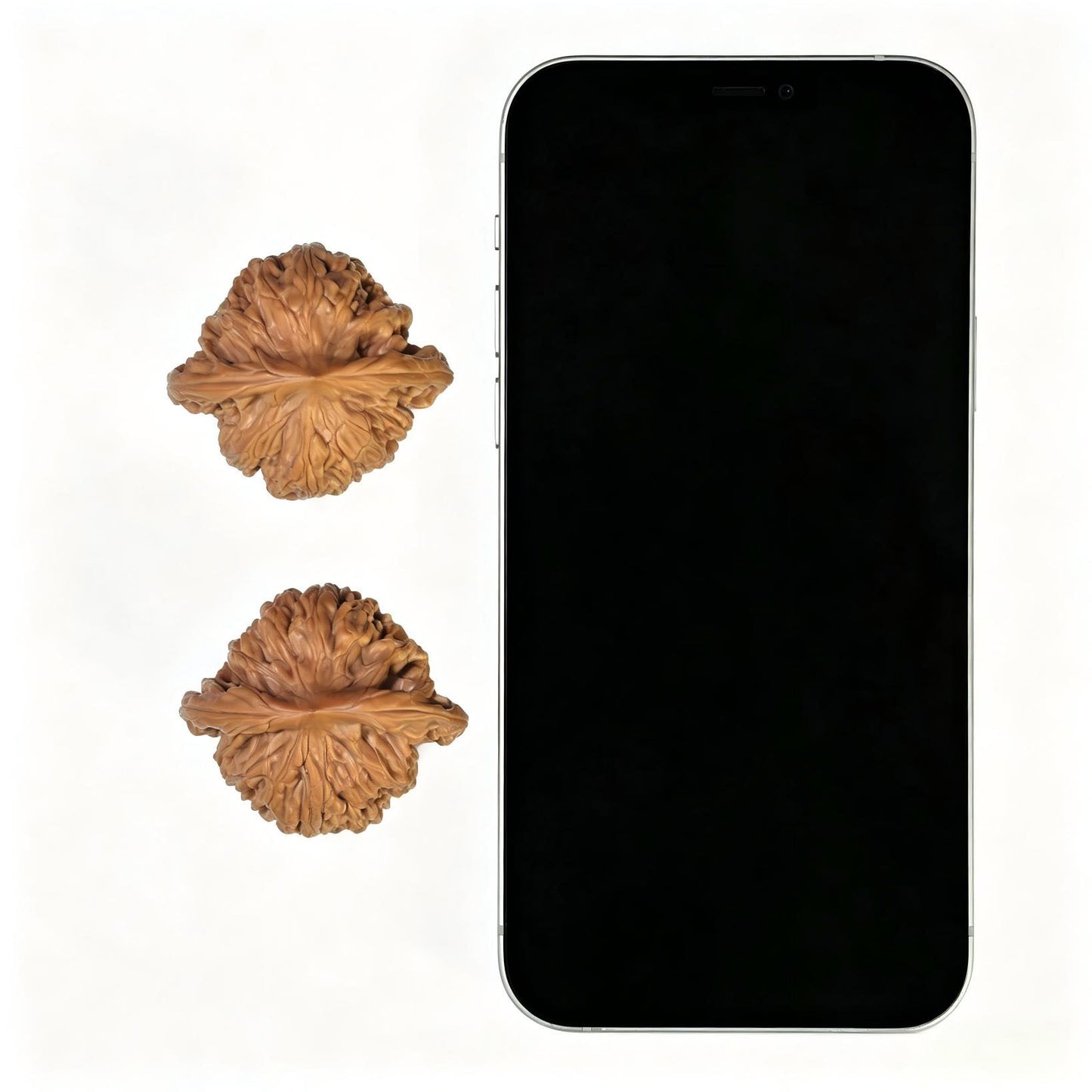 "Shuiquangou Prince Hat" Shuiquangou Gongzimao Wenwan Walnuts Pair | 42.0mm x 37.0mm | SQGGZM-01SY