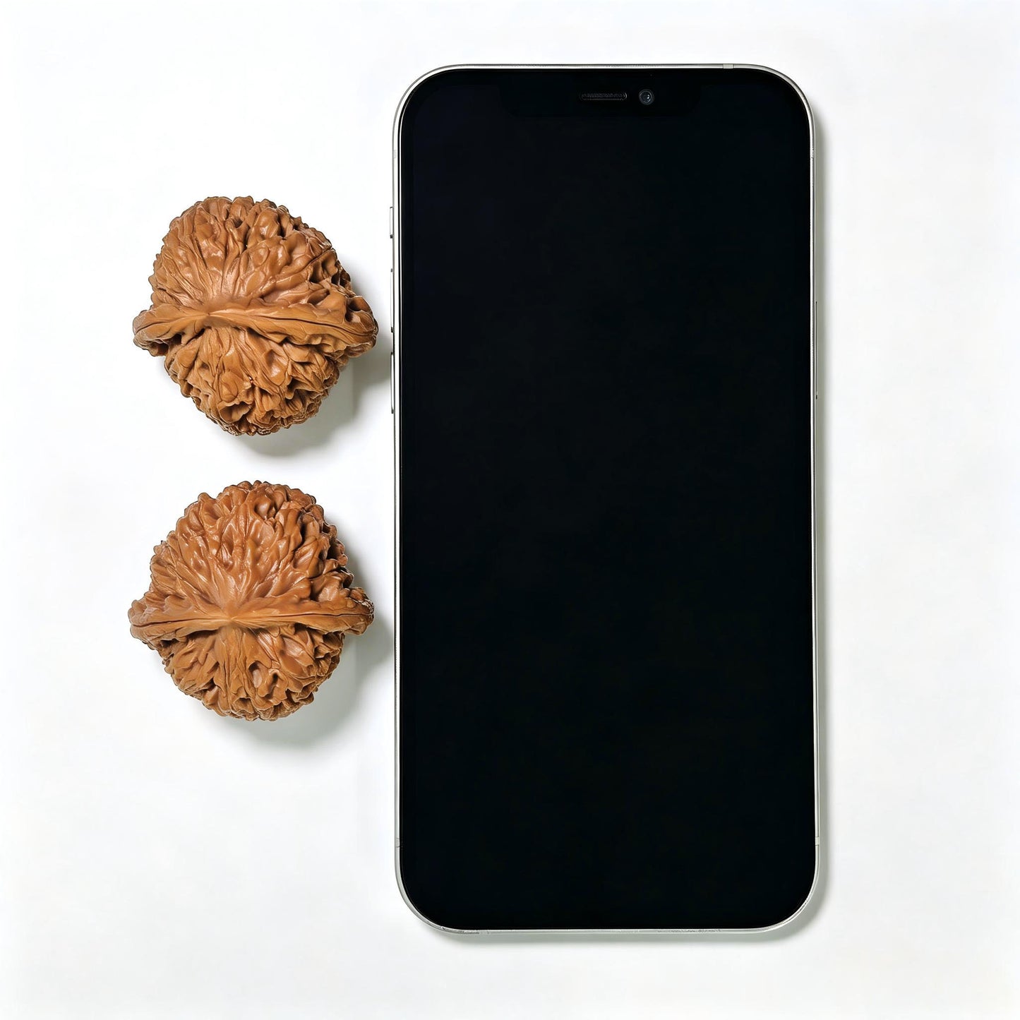 "Water Dragon Texture" Shui Long Wen SLW-1502C Low-Profile Wenwan Walnuts Pair | 40.0mm x 39.0mm | SLW-1502C
