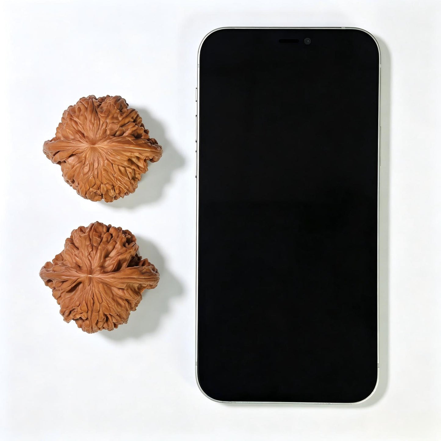 "Butterfly Millstone" Butterfly Mopan Wenwan Walnuts (Pair) | 46.0mm x 42.0mm | Stock ID: HDMP-1551C