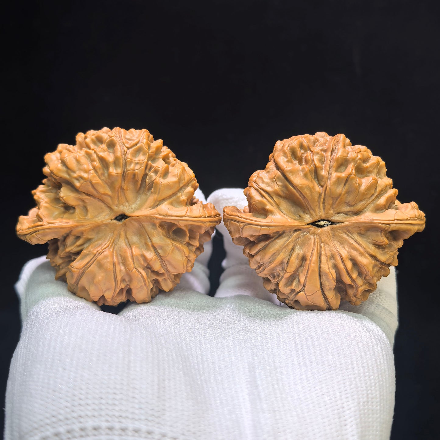 "Dragon Tripod Low Profile" Longding Aizhuang Wenwan Walnuts Pair | 55.0mm x 50.0mm | LD-1552C