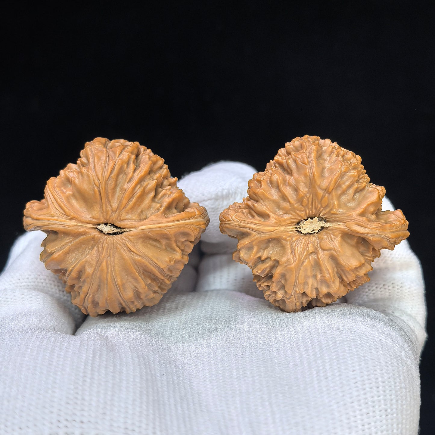 "Heart-Shaped Concave Base White Lion" Aodi Xinxing Baishizi Low-Profile Wenwan Walnuts Pair | 38.0mm x 37.0mm | BSJ-SY1F2