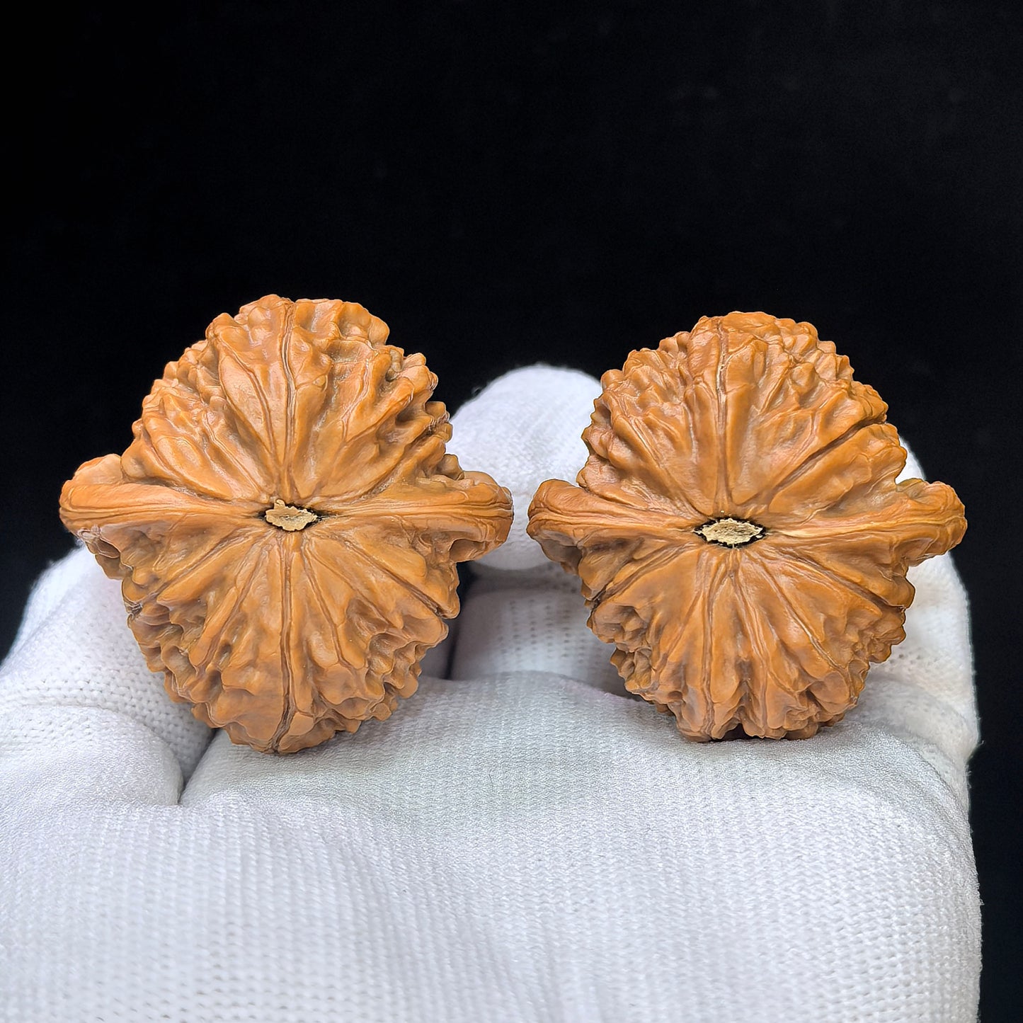 "Golden Qilin" Jin Qilin JQL-SY1F6 Low-Profile Wenwan Walnuts Pair | 42.0mm x 42.0mm | JQL-SY1F6