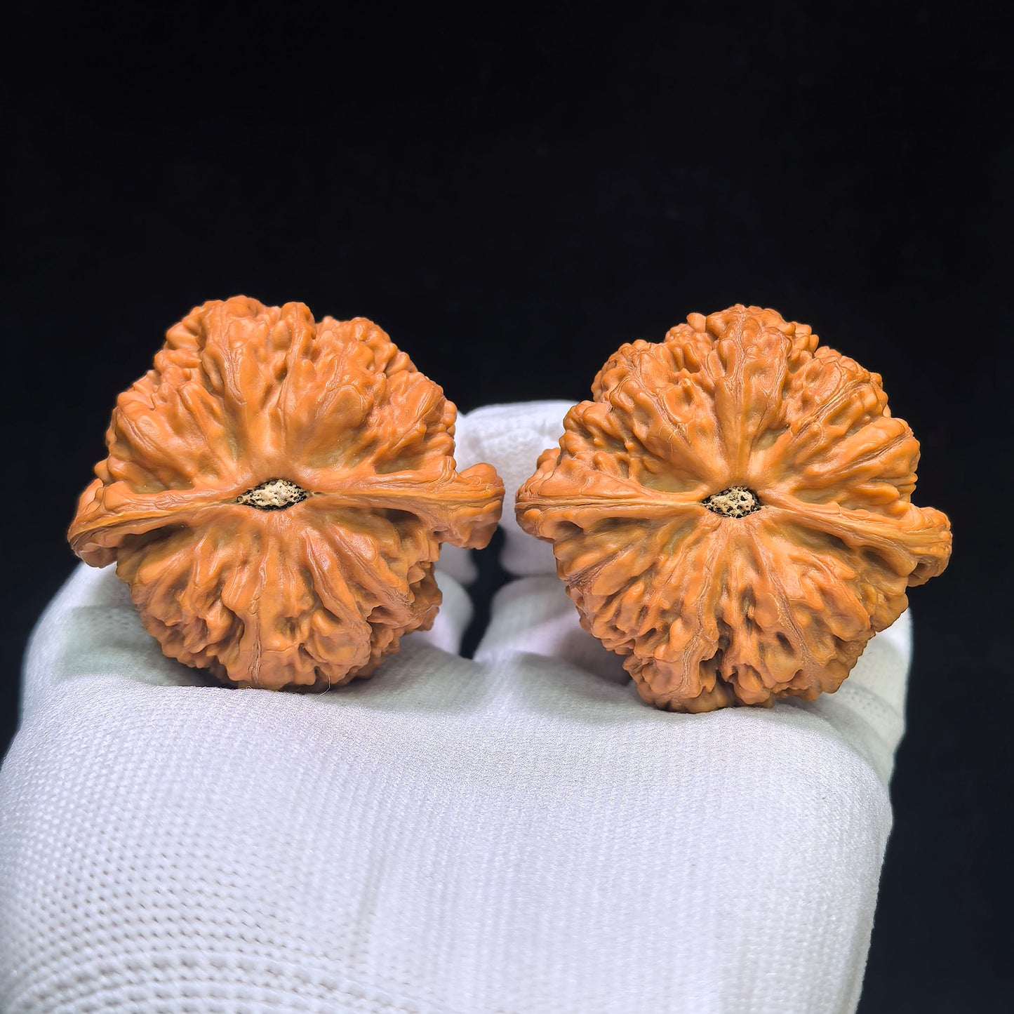 "Large Thick Rib" Dacujin Wenwan Walnuts Pair | 48.0mm x 47.0mm | DCJ-1551C