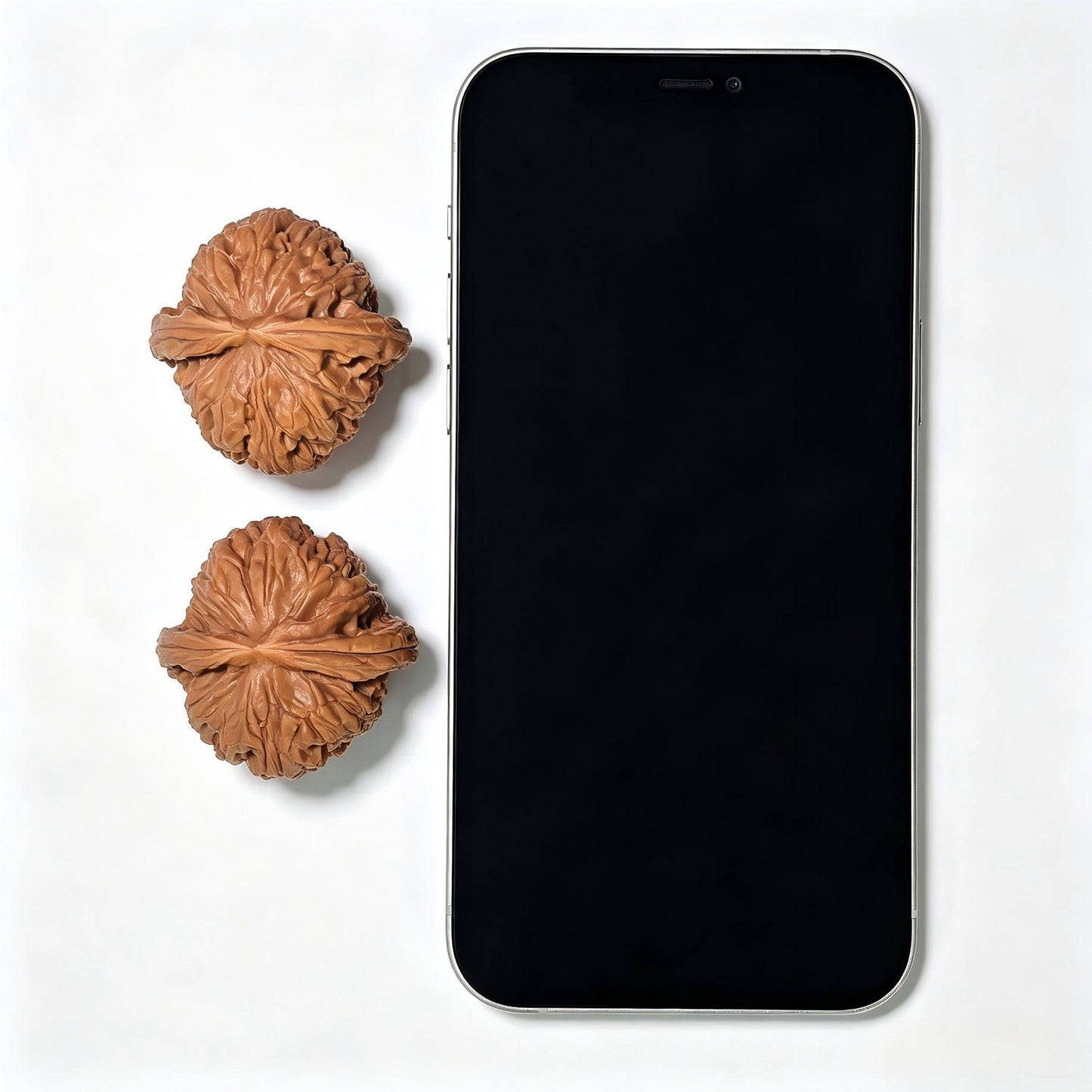 "Recessed Apex Spherical White Lion" Menjian Qiuxing Baishizi Low-Profile Wenwan Walnuts Pair | 39.0mm x 39.0mm | BSJ-1505C