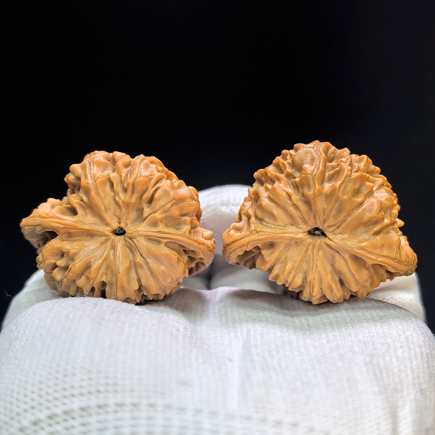 "Official Hat Snake Head" Guanmao Shetiao Wenwan Walnuts Pair | 42.0mm x 32.0mm | GMST-01SY