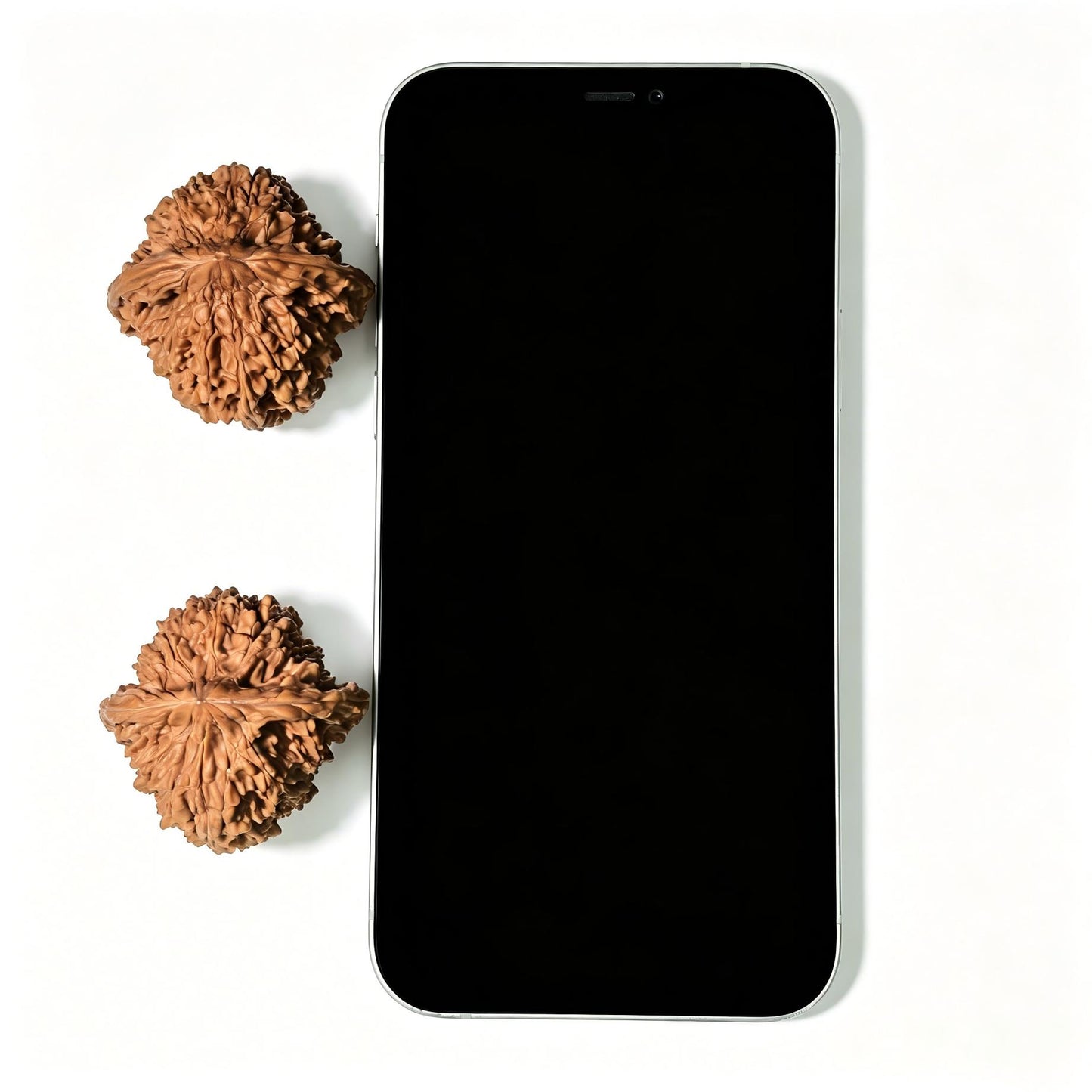 "Starry Sky" Mantianxing Wenwan Walnuts (Pair) | 40.0mm x 40.0mm | Stock ID: MTX-1401