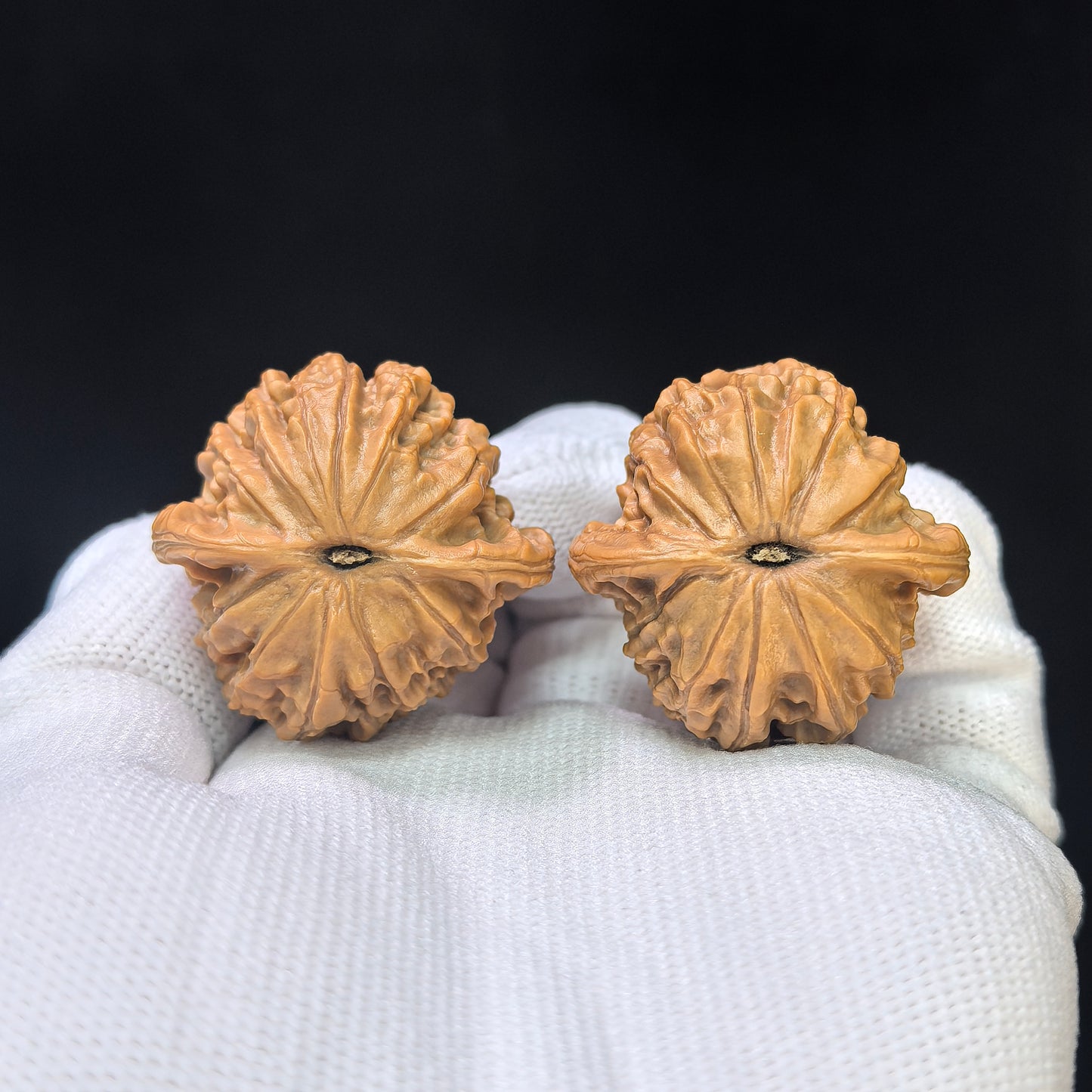"Yearning Love" (Xiang Si) Scholar Walnuts Pair | 33.0mm x 32.0mm | Miniature Pocket Format (Shou Nian) | Stock ID: XS-SY1C2