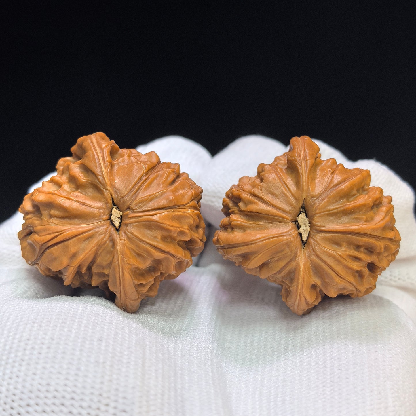 "Millstone Vulture" Mopan Zuoshandiao Special Mutation Wenwan Walnuts Pair | 36.0mm x 36.0mm | MPZSD-C233E