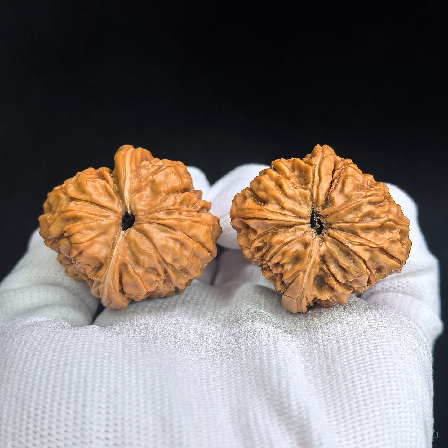 "Mountain Vulture Door Pier" (Mendun Zuo Shan Diao) Scholar Walnuts Pair | 36.0mm x 39.0mm | Deep-Belly Pocket Stance | Collector Grade Masterpiece | Stock ID: MD-SY1E5