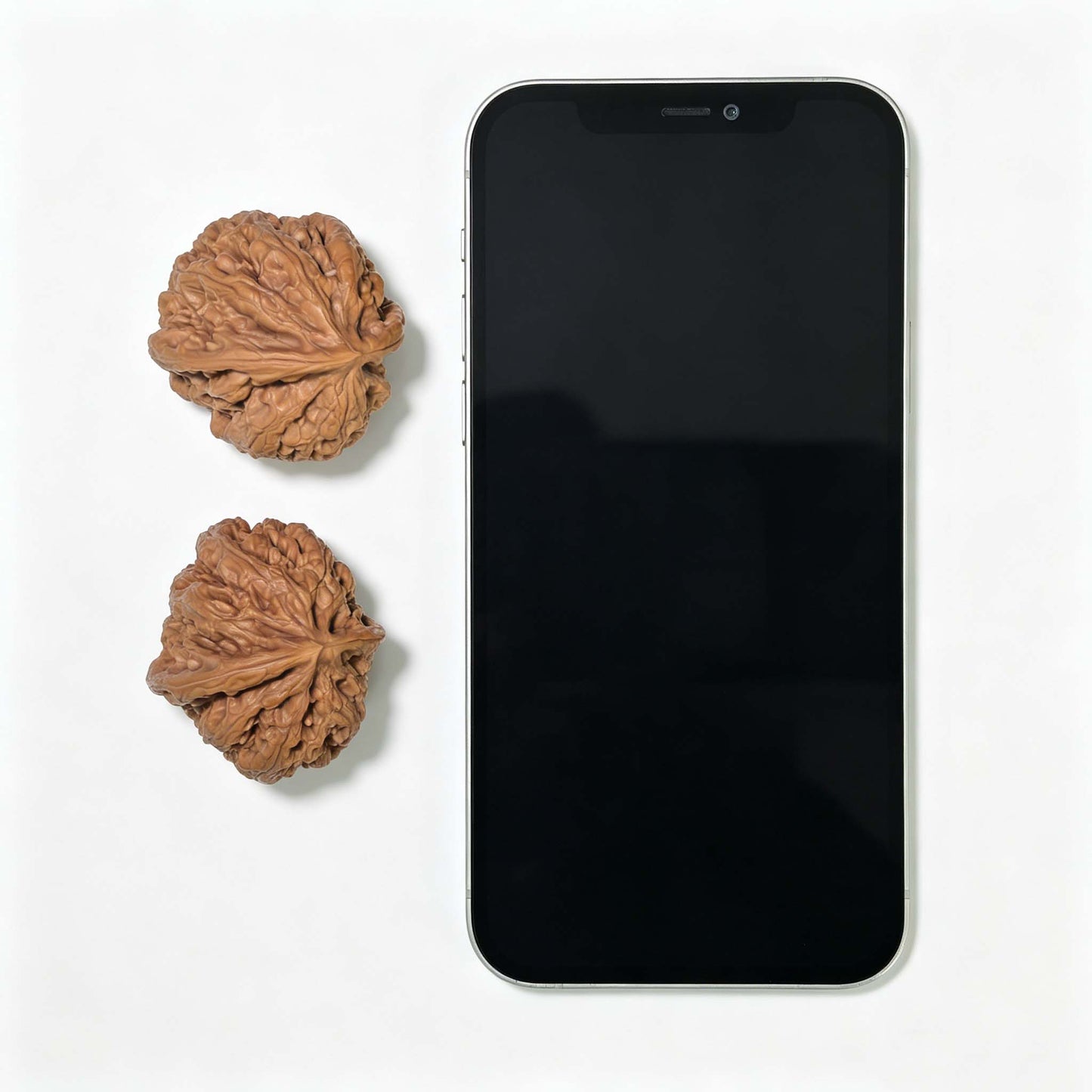 "Thick Ridge Lord of the Mountain Half-Wall" Cujin Zashandiao Banbi Wenwan Walnuts Pair | 39.0mm x 41.0mm | CJZSDBB-CG215E