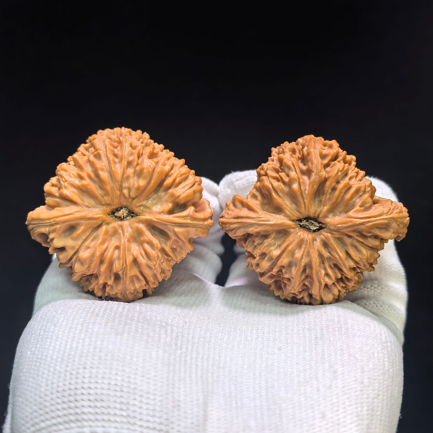 "Concave Base Nanjiangshi" Nanjiangshi Aodi Wenwan Walnuts (Pair) | 49.0mm x 45.0mm | Stock ID: NJS-1551C
