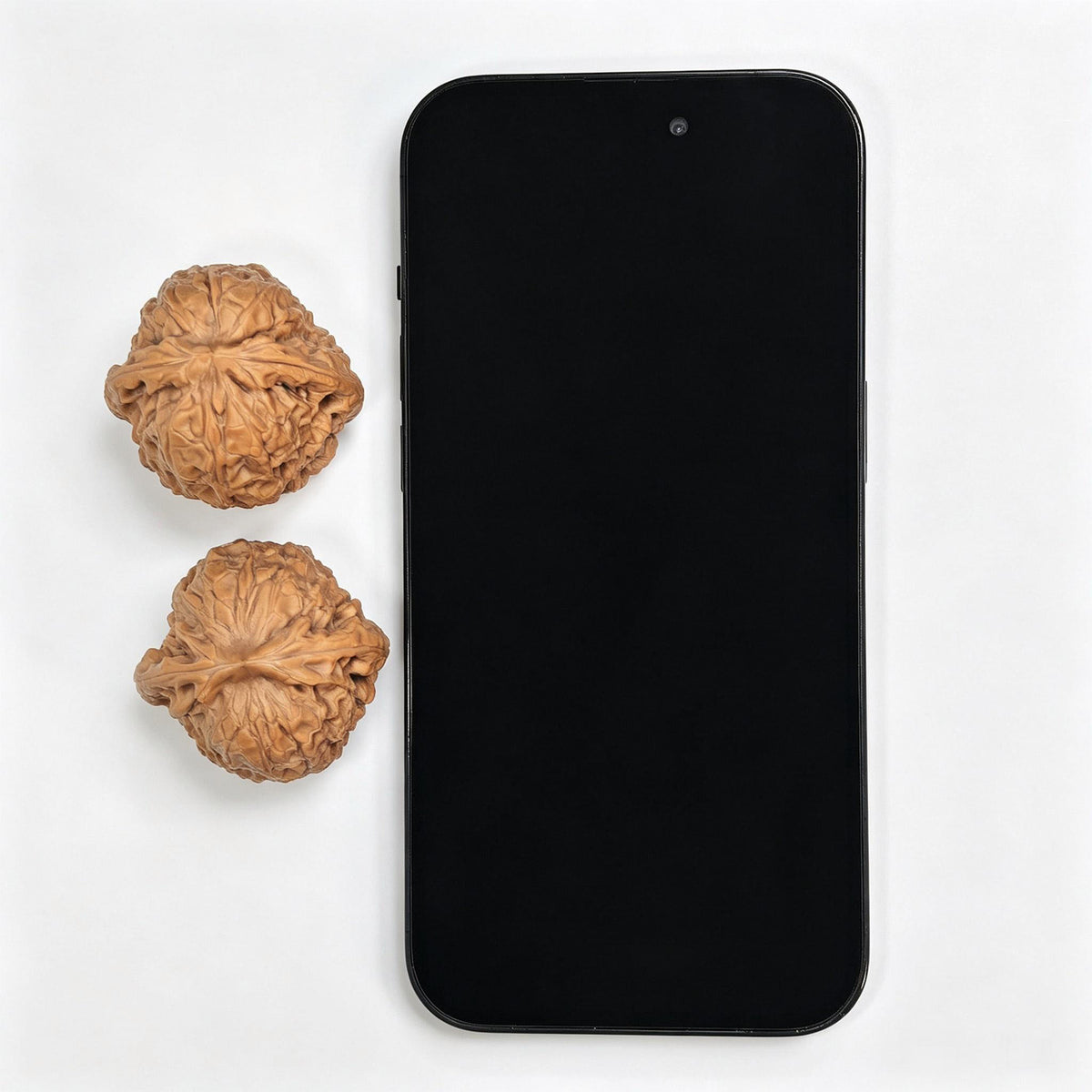 Compact Round-Bodied “Da Tuanyuan” Wenwan Walnut Pair — 39.0mm x 37.0mm | DTY-SY1H8