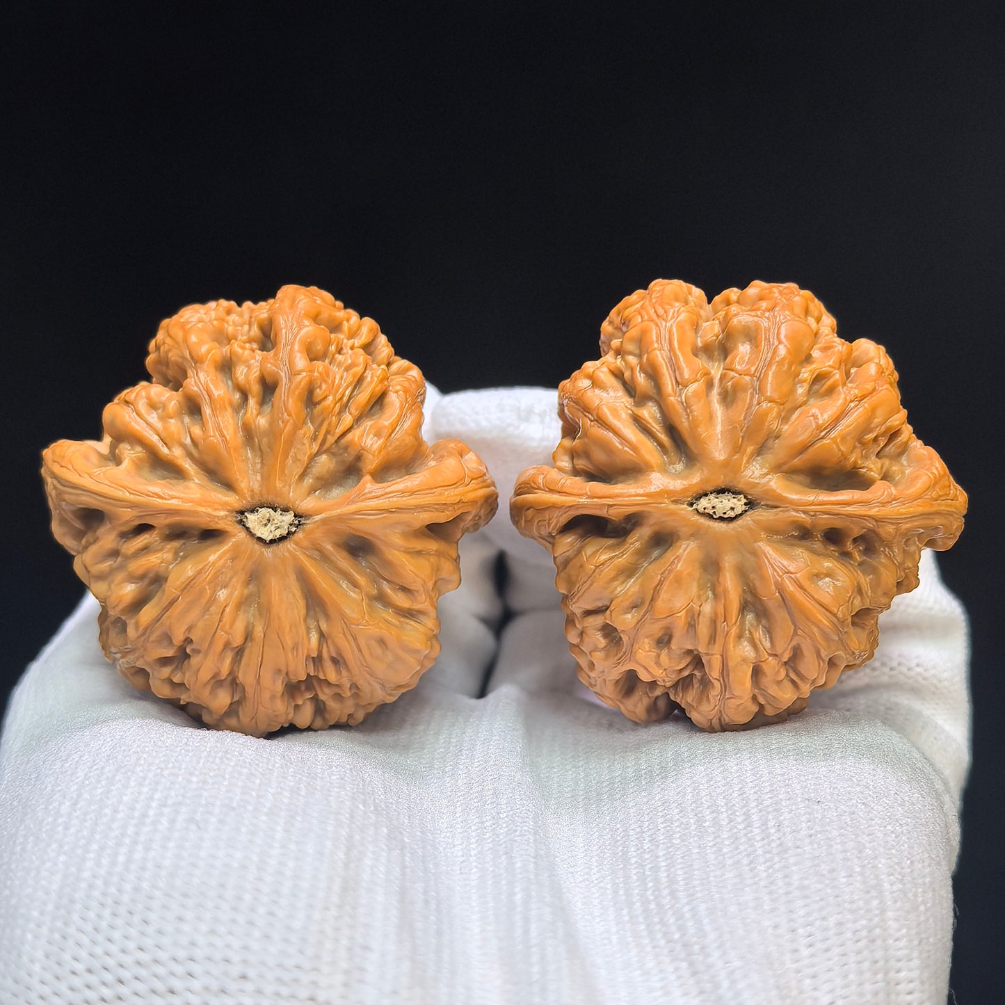 "Thick Ridge" Cujin Wenwan Walnuts Pair | 44.0mm x 44.0mm | CJ-101SY