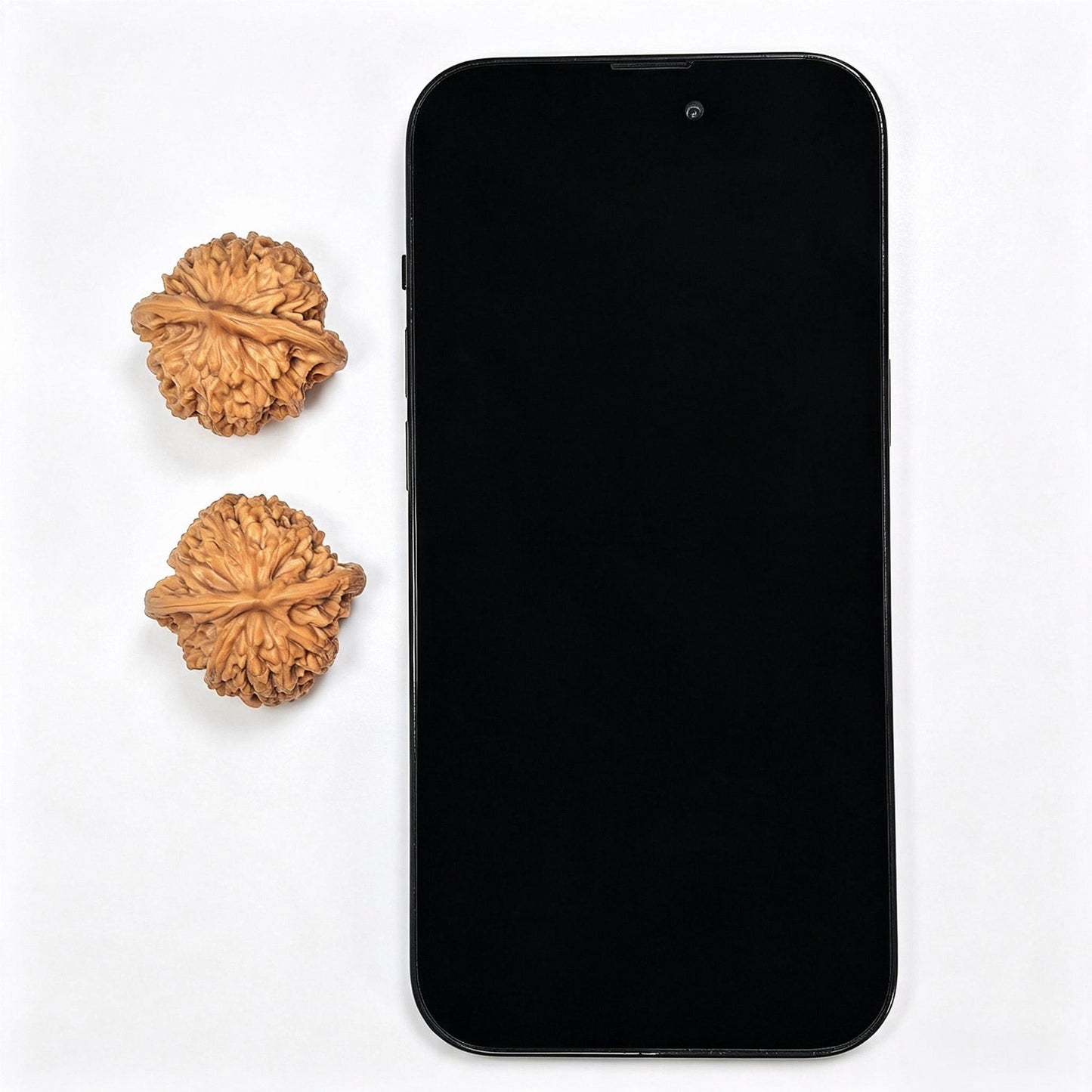 "Beijing Xiayun Ridge" Beijing Xiayunling XYL-SY1A2 Classic Wenwan Walnuts Pair | 32.0mm x 32.0mm | XYL-SY1A2