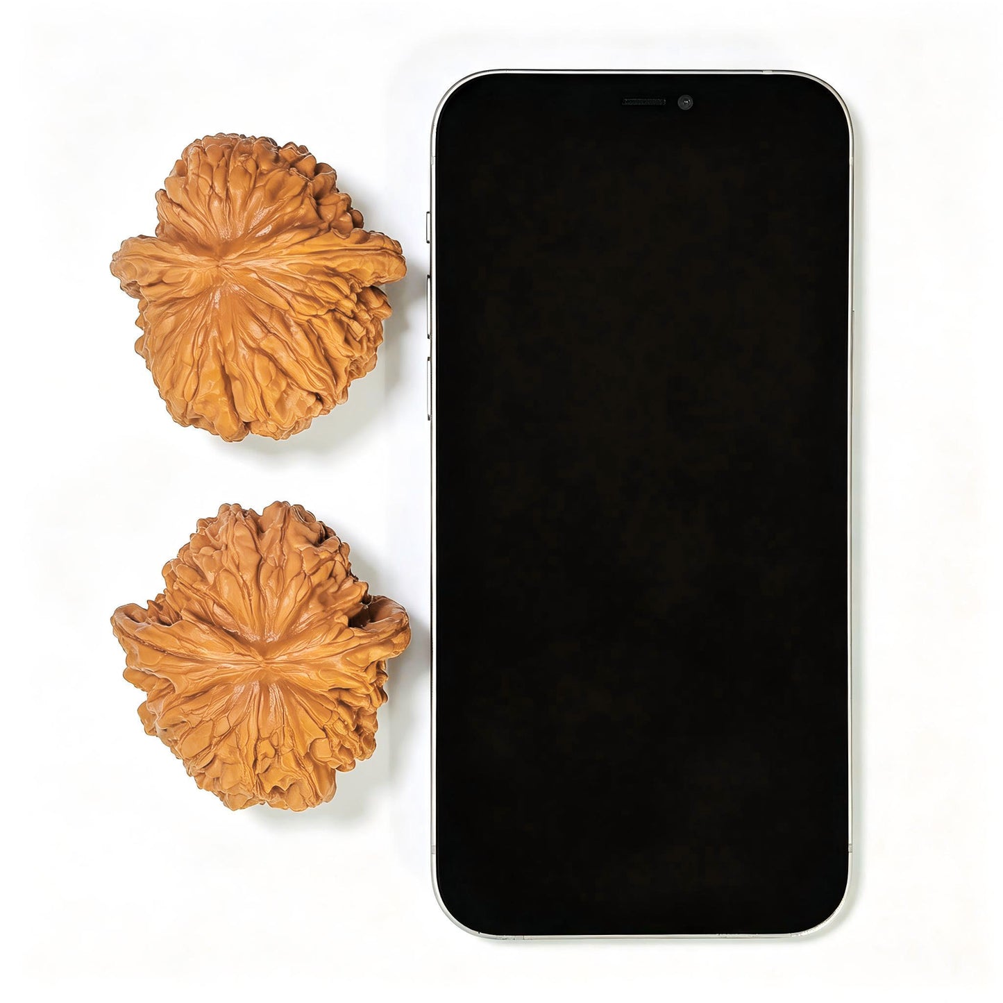 "Hua Kun Dragon" Huakunlong HTL-17F0 Low-Profile Wenwan Walnuts Pair | 48.0mm x 50.0mm | HTL-17F0
