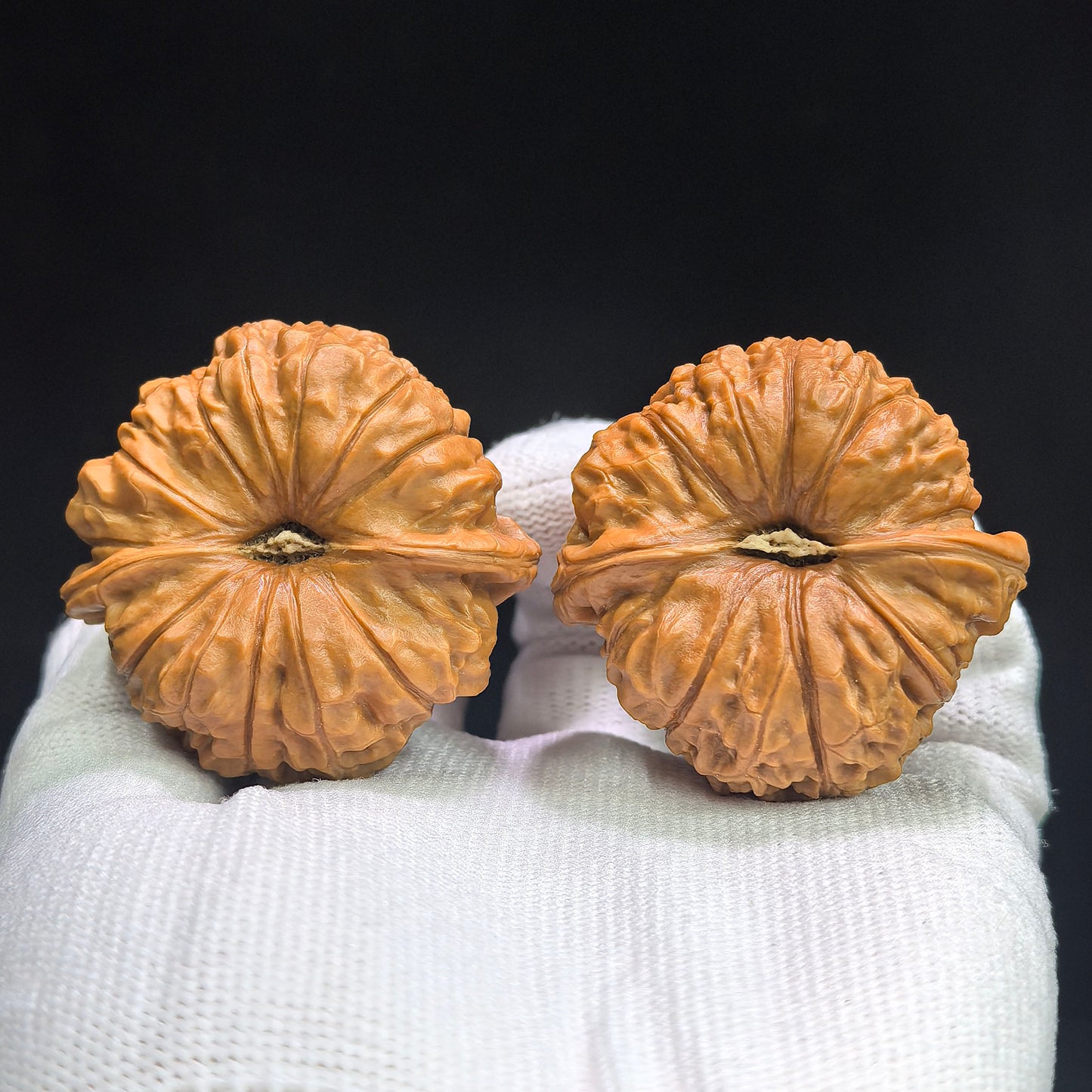 "Concave Base Pumpkin Dun" Aodi Nanguadun BDNGD-17G5 Low-Profile Wenwan Walnuts Pair | 43.0mm x 43.0mm | BDNGD-17G5